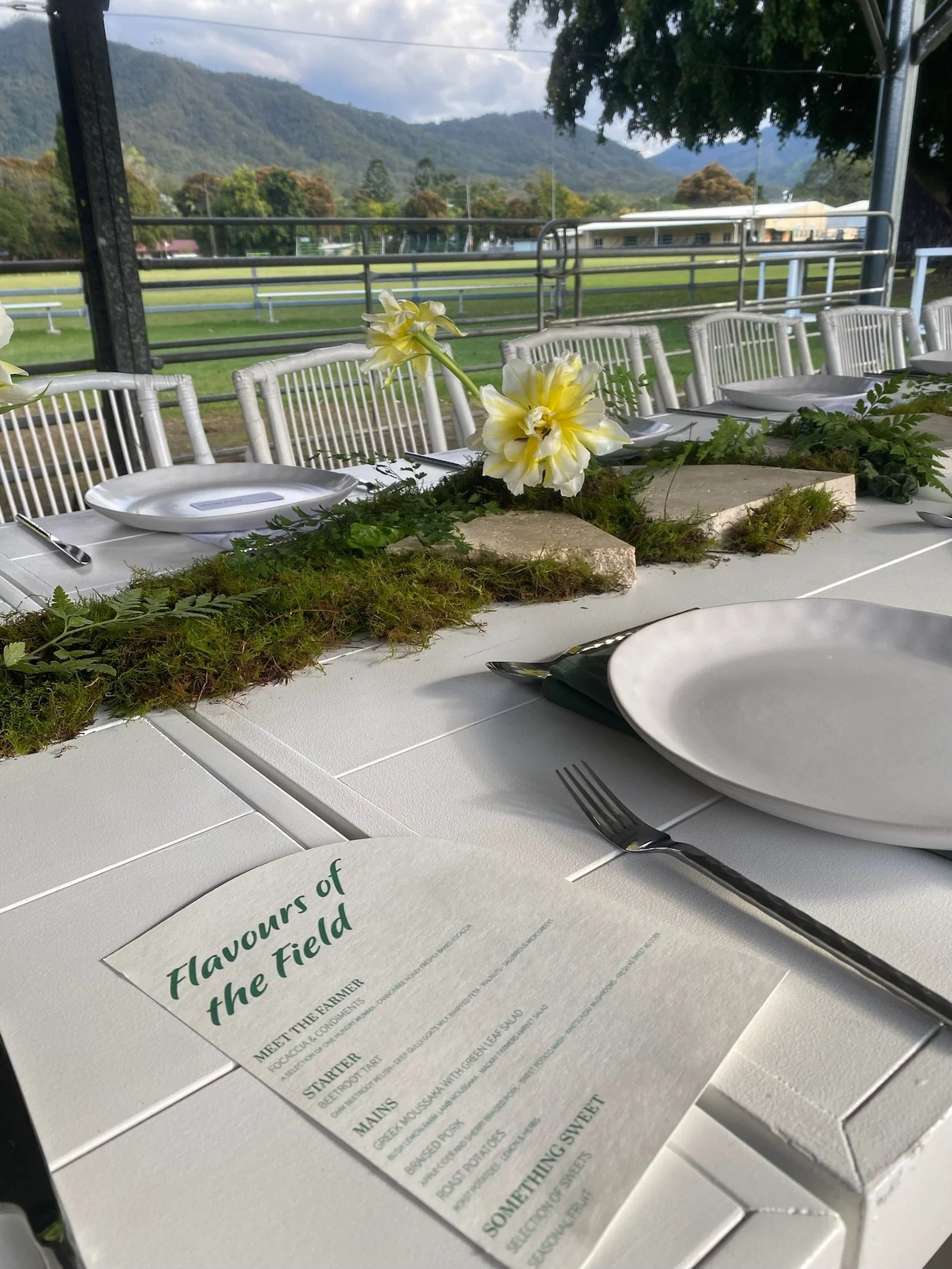 A table set outdoors with white plates, silverware, and a floral centerpiece featuring yellow and white flowers with greenery, overlooking a scenic view of a fence, green field, trees, mountains, and a cloudy sky.
