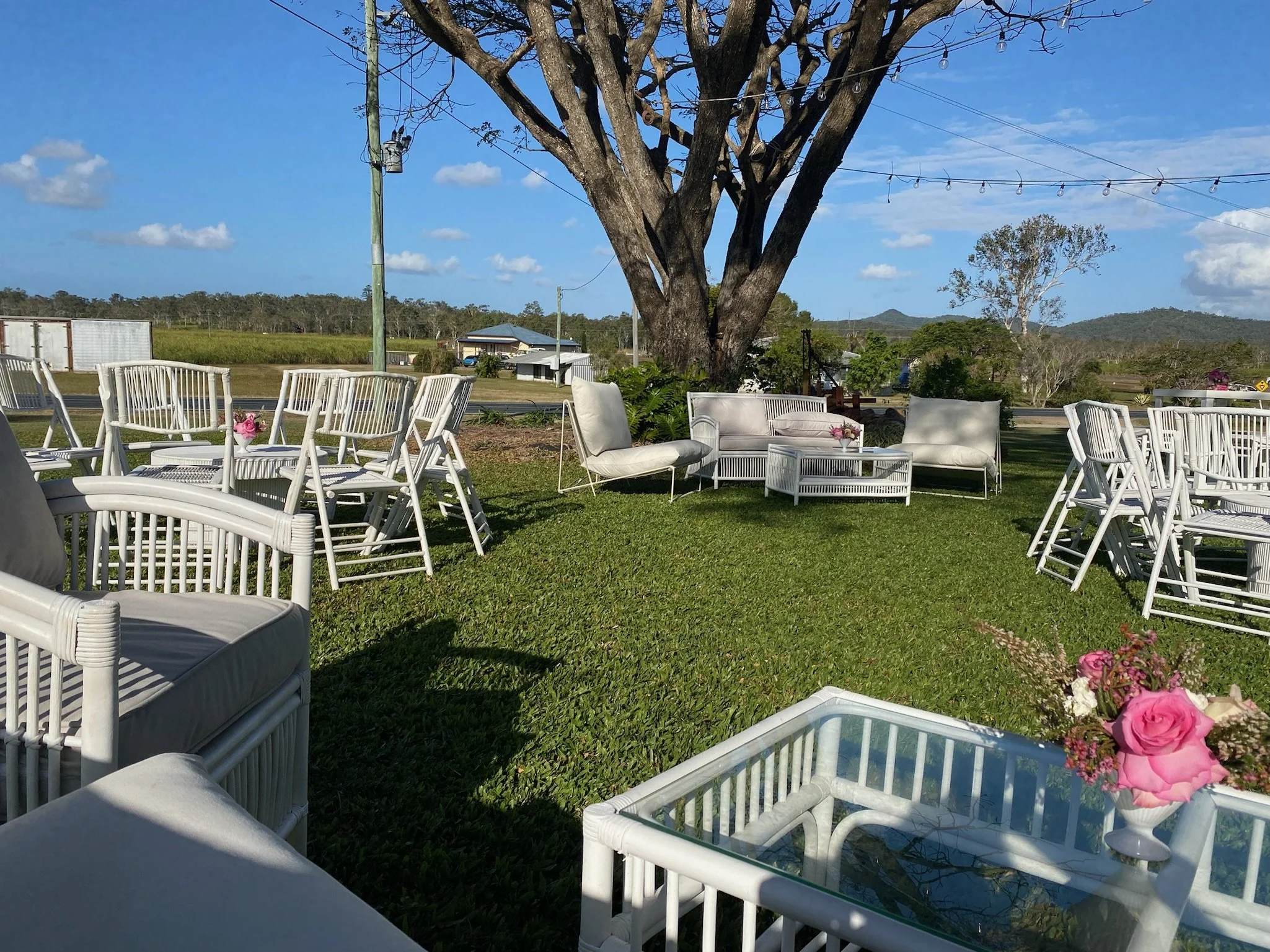 An outdoor setup with white chairs, sofas, and tables arranged on green grass under a large tree. Pink flowers are on some tables, and string lights are hanging overhead against a blue sky with clouds.