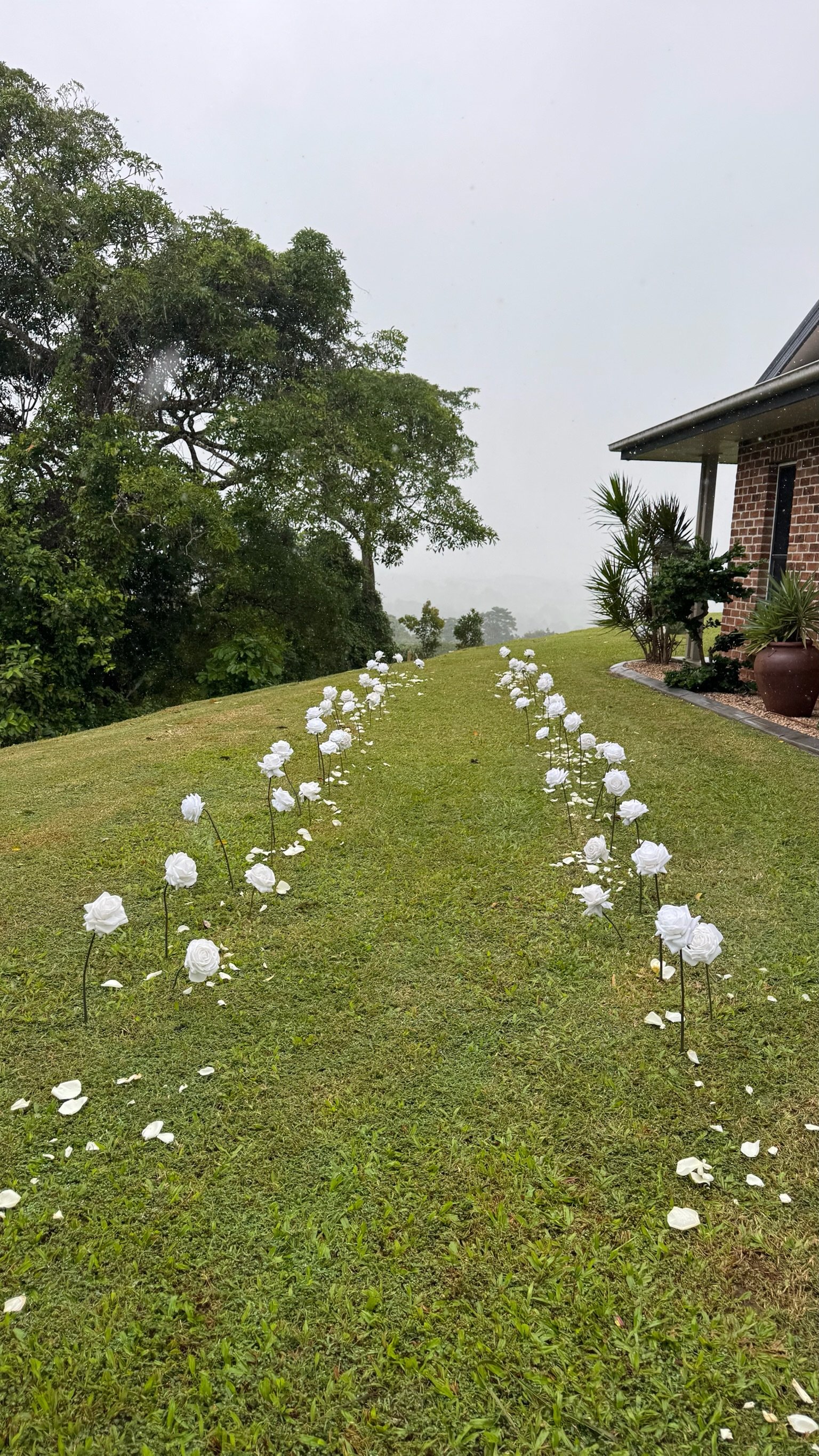 Outdoor scene showing a grassy lawn with white artificial roses on wire stems arranged in two rows, leading to a house with a brick wall and potted plants, with trees and a foggy sky in the background.