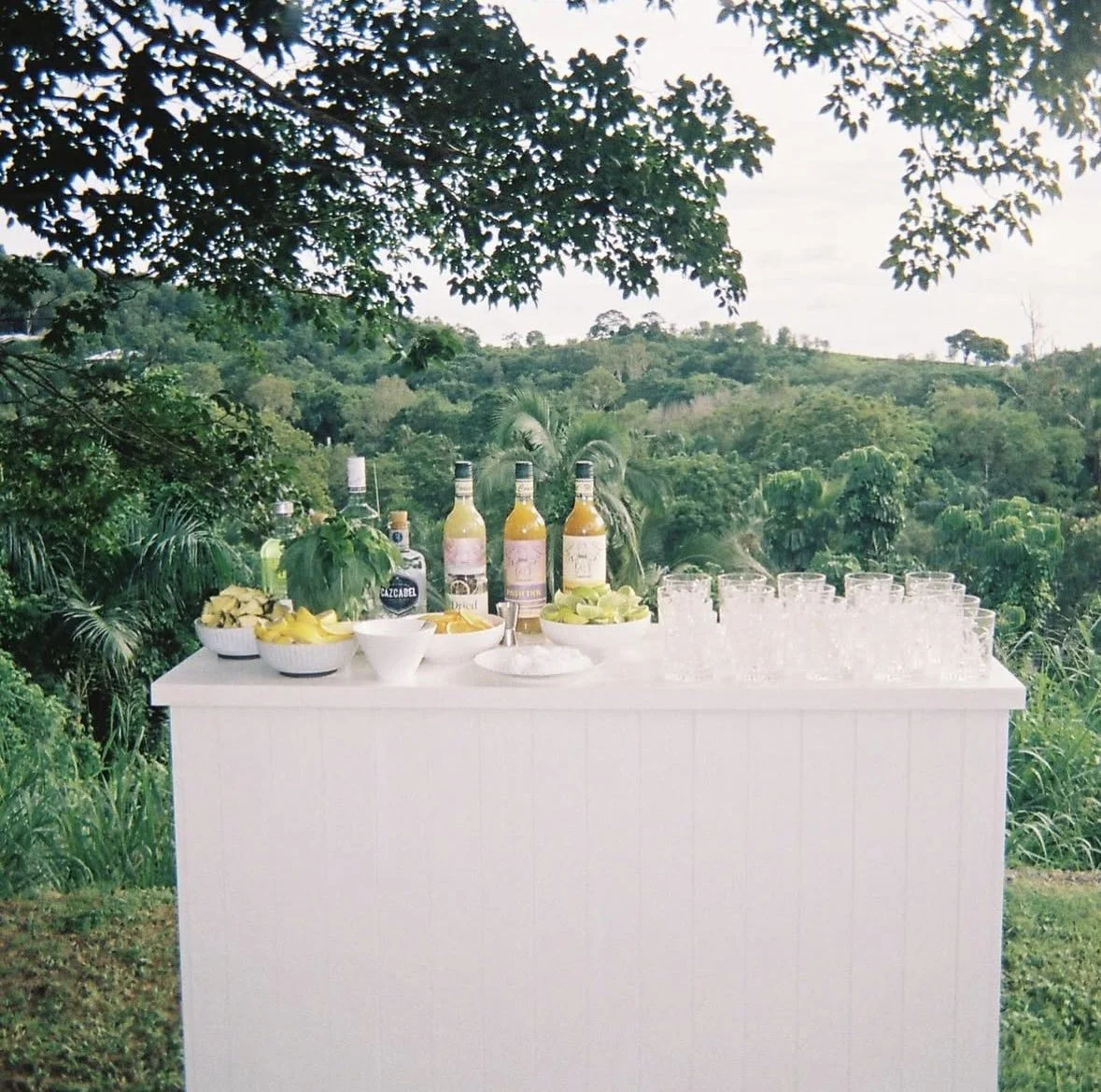Outdoor bar setup with liquor bottles, bowls of sliced fruit, stacked glasses, and a scenic green landscape background.