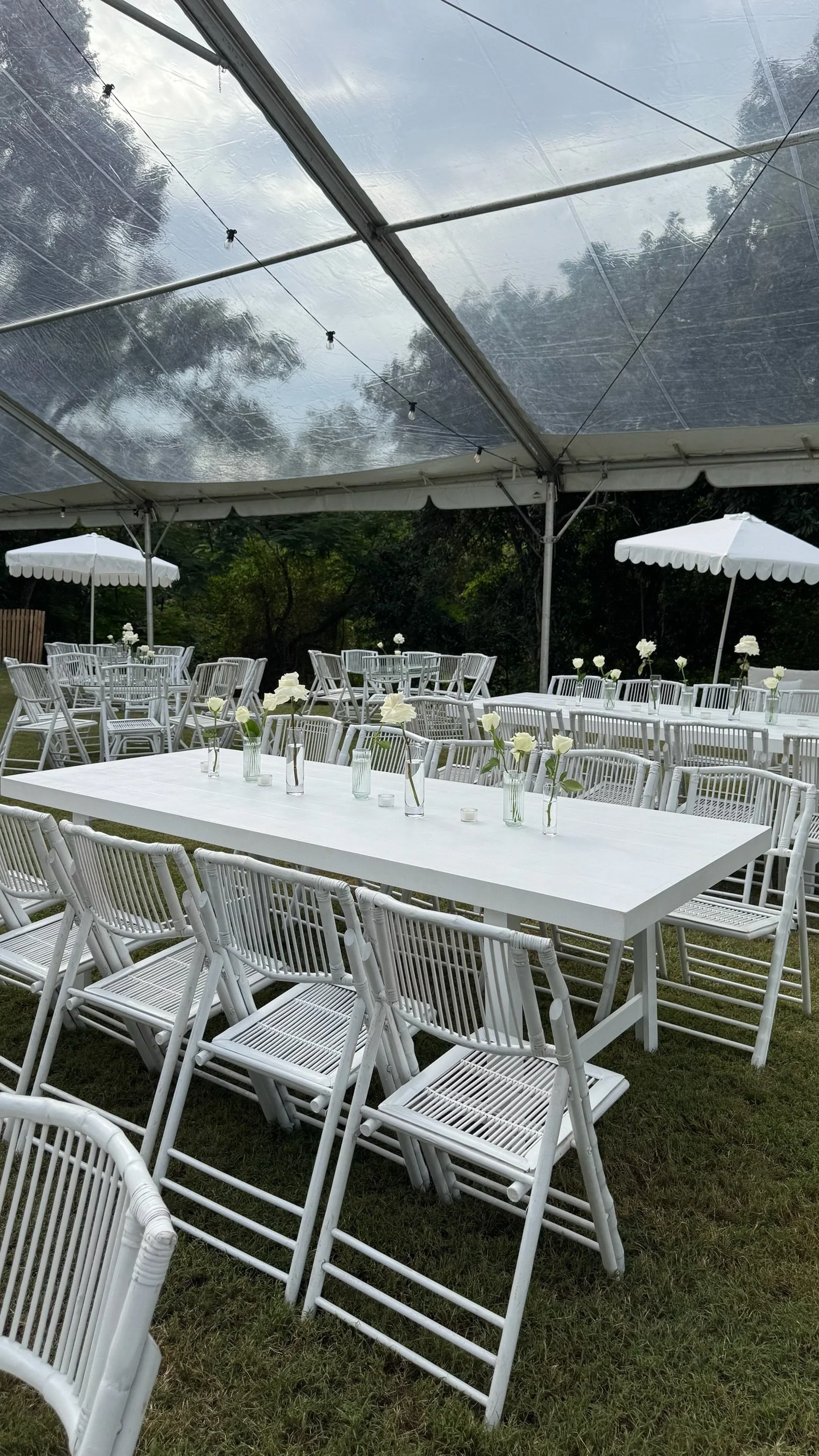 A setup for an outdoor event with white tables and chairs under a large canopy. The tables are decorated with white roses in vases. There are also white umbrellas providing shade, and string lights are hanging from the canopy.