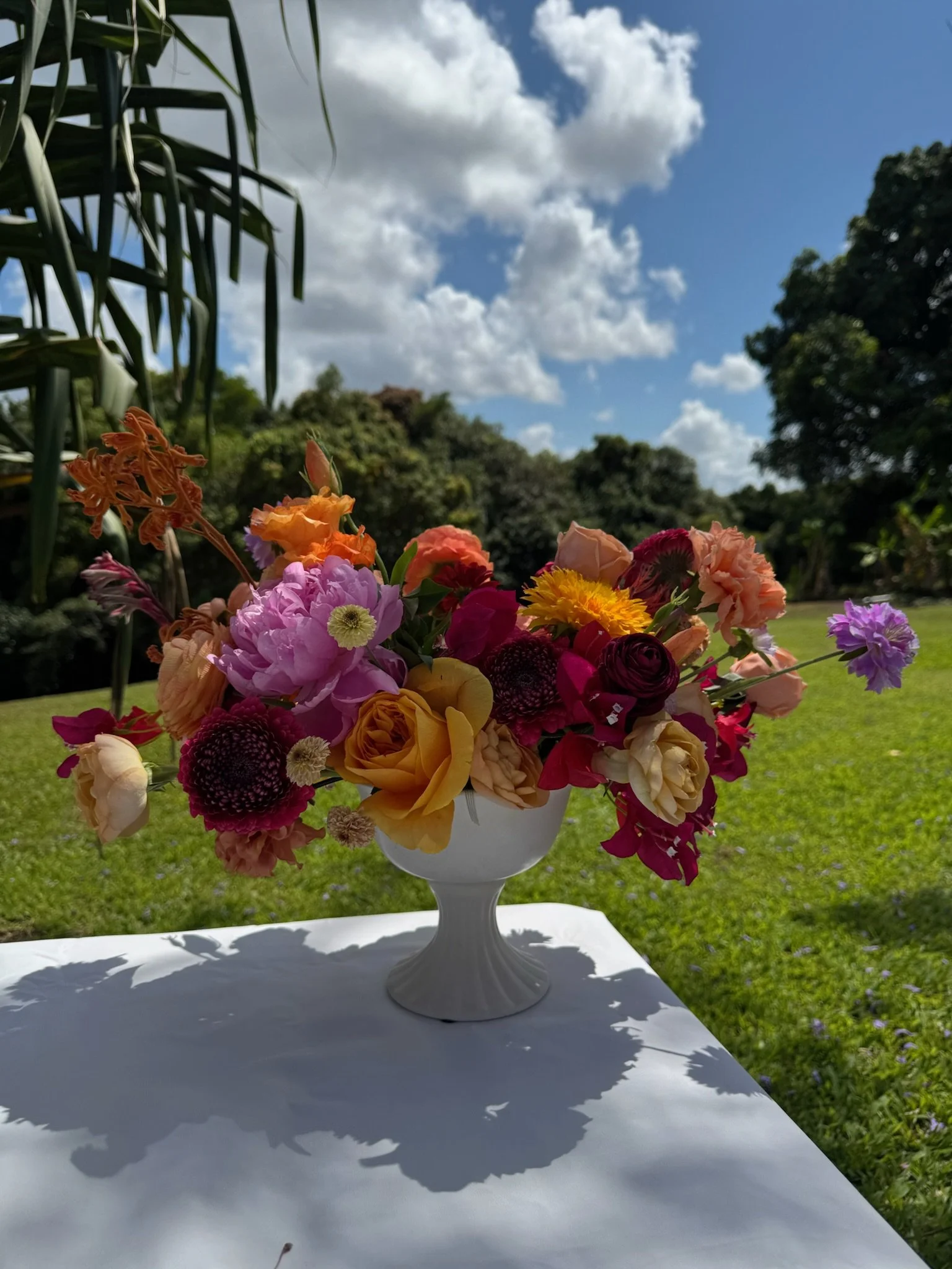 Copy of IMG_8036.JPG