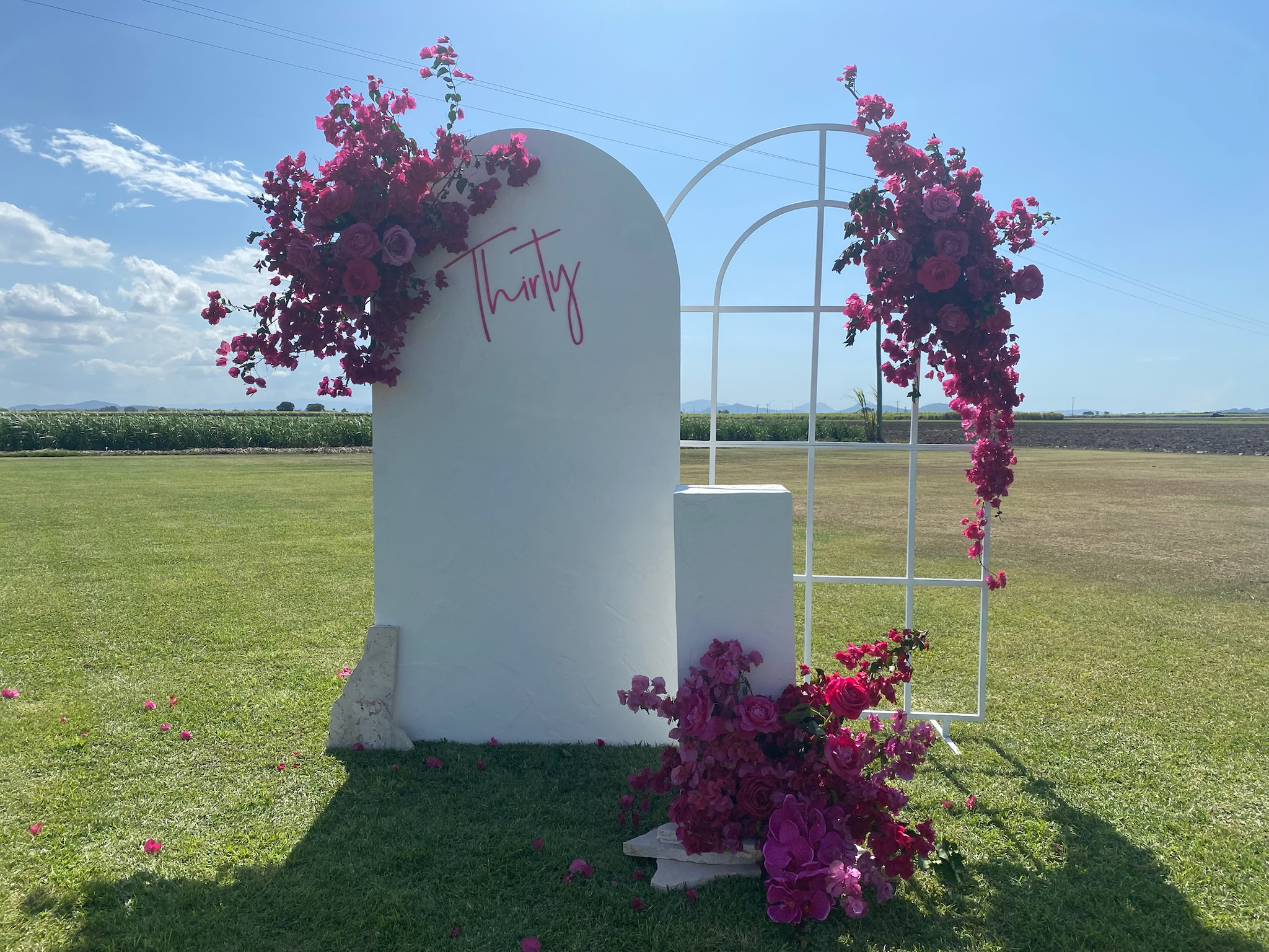 A white wall with pink flowers and vines, and the word 'Thirty' written in pink, set in an open grassy field with blue sky and clouds.
