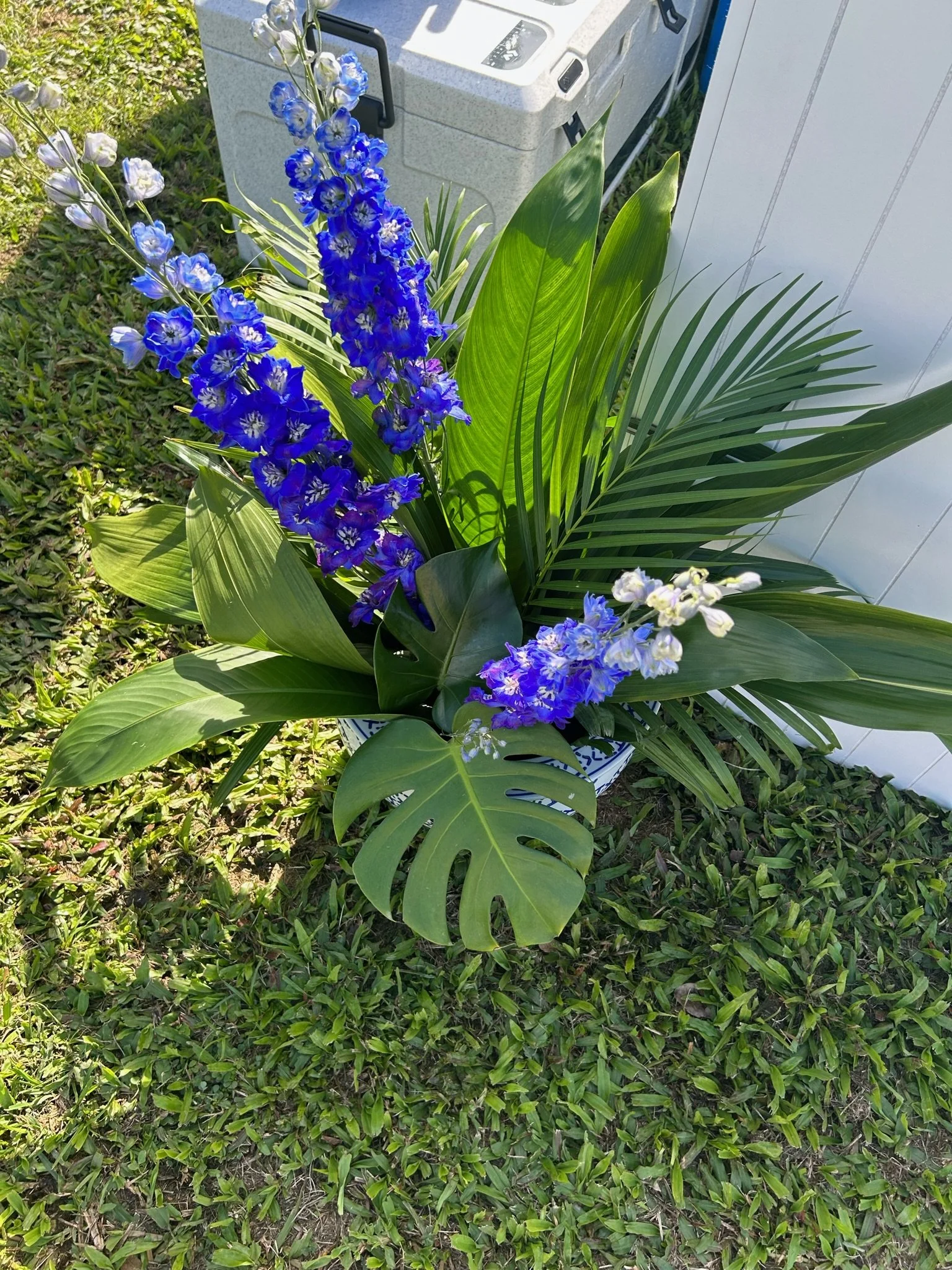 A vibrant arrangement of blue and white flowers, including delphiniums, in a decorative blue and white pot, placed on green grass with lush foliage in the background.