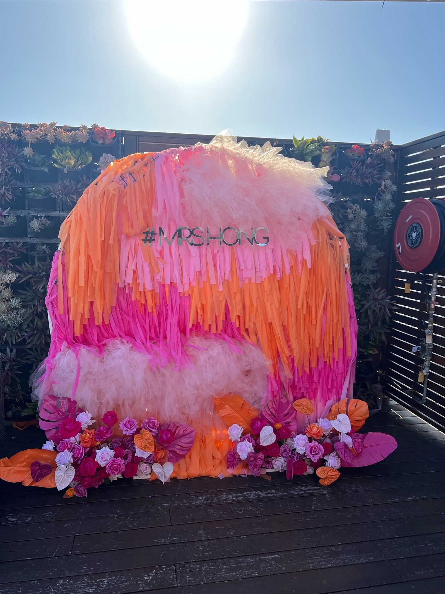 Copy of IMG_5739.JPG