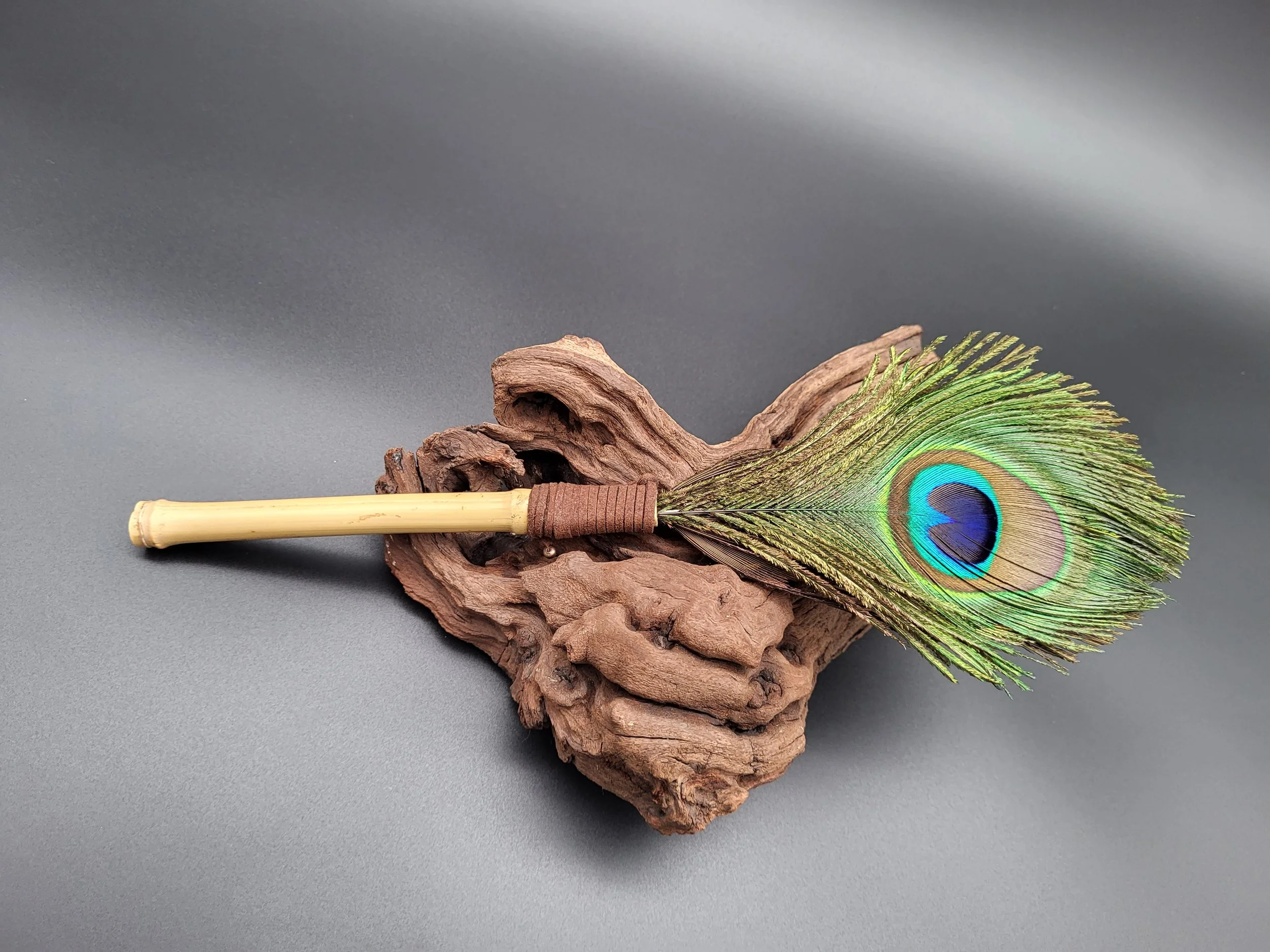 Plume's Peacock Eye