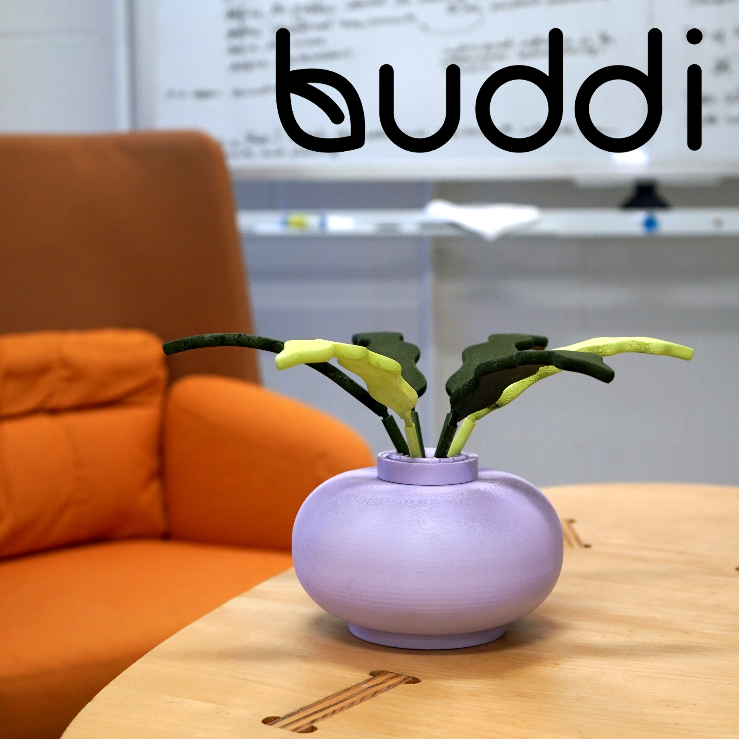 Buddi
