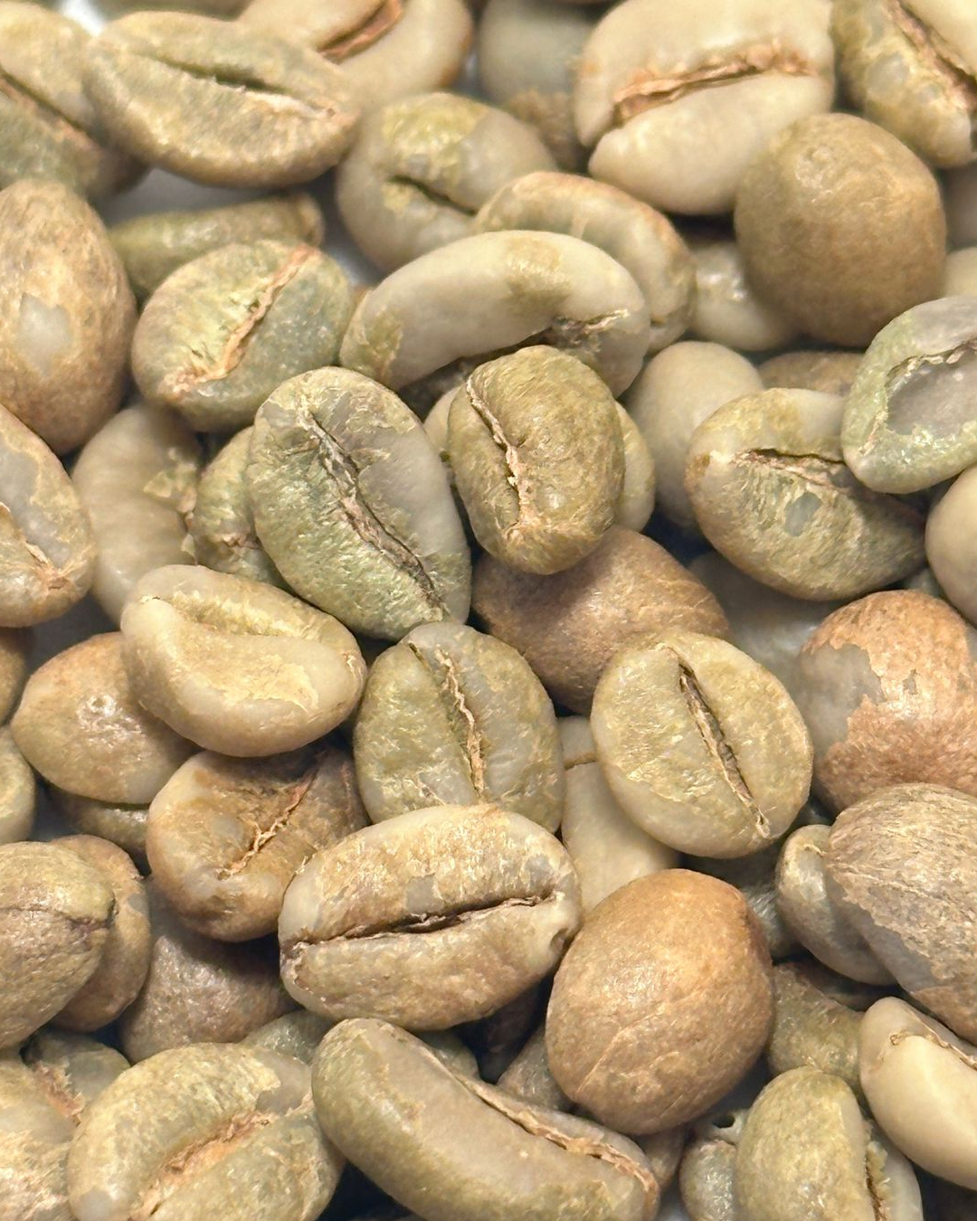 Wilde-Robusta-Temanggung-Natural-003.png