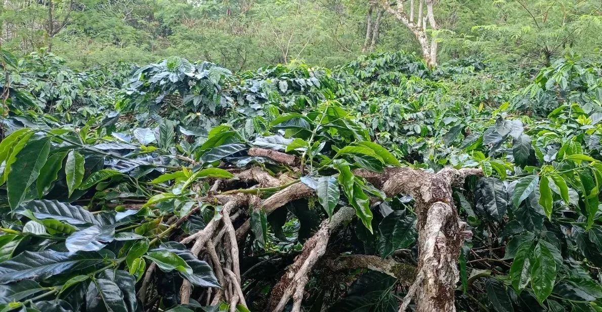 WhatsApp Image 2025-11-13 at 21.12.14.jpeg