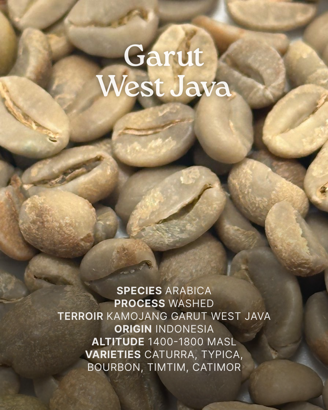 Wilde-Arabica-Garut-Washed-002.png