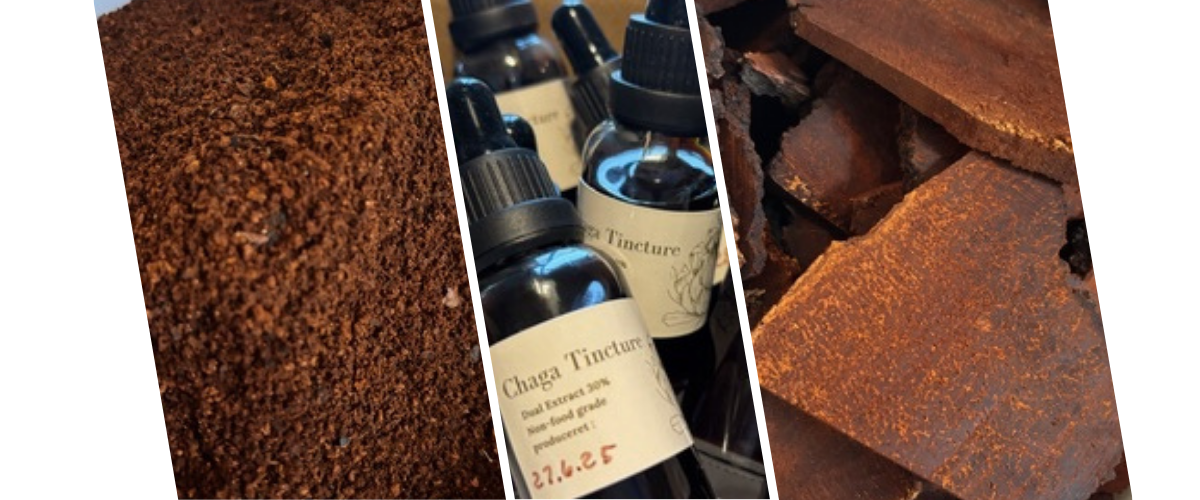 Vidste du, at jeg producerer&nbsp;økologiske CHAGA og LION’S MANE tinkturer?
