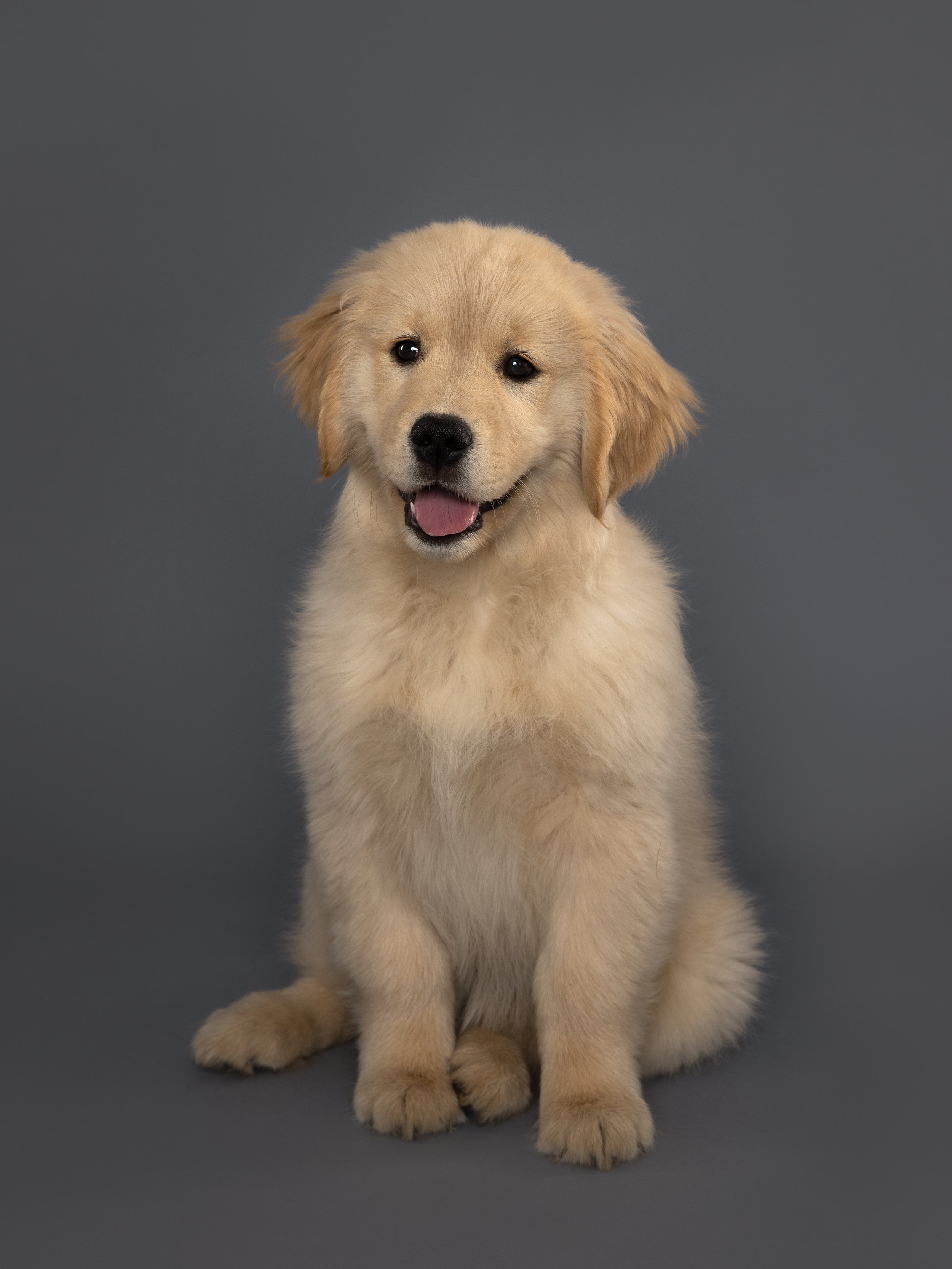 Ziva and Kaia 82-edit.jpg