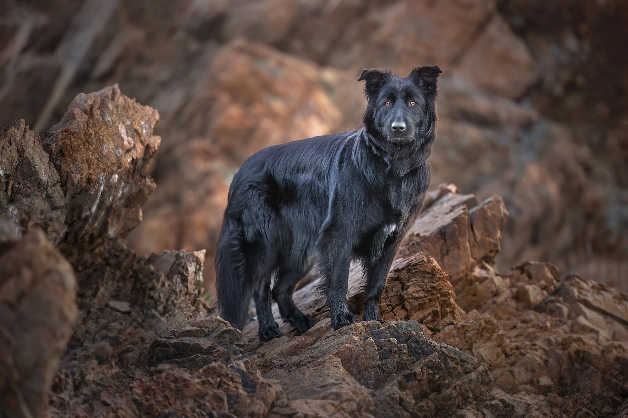 SHS Beach-522-web.jpg