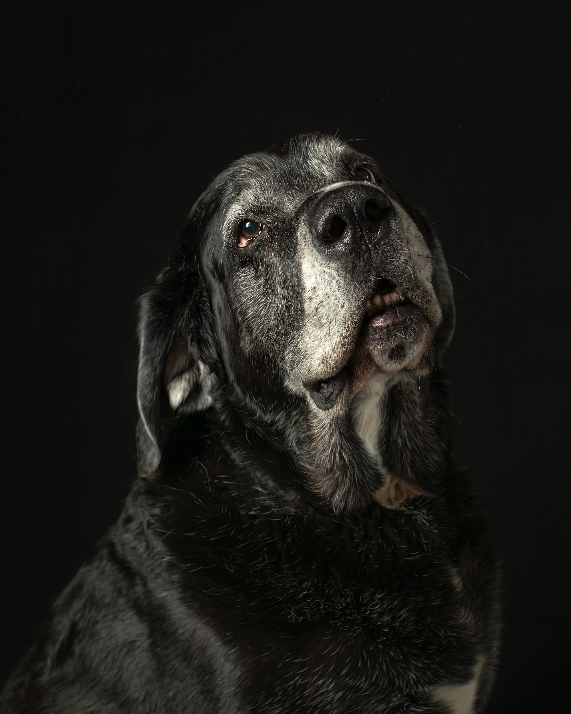 CT PM Shoot-151-web.jpg