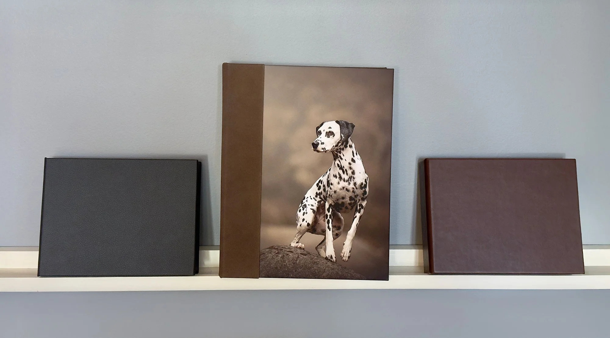 image_box.jpg