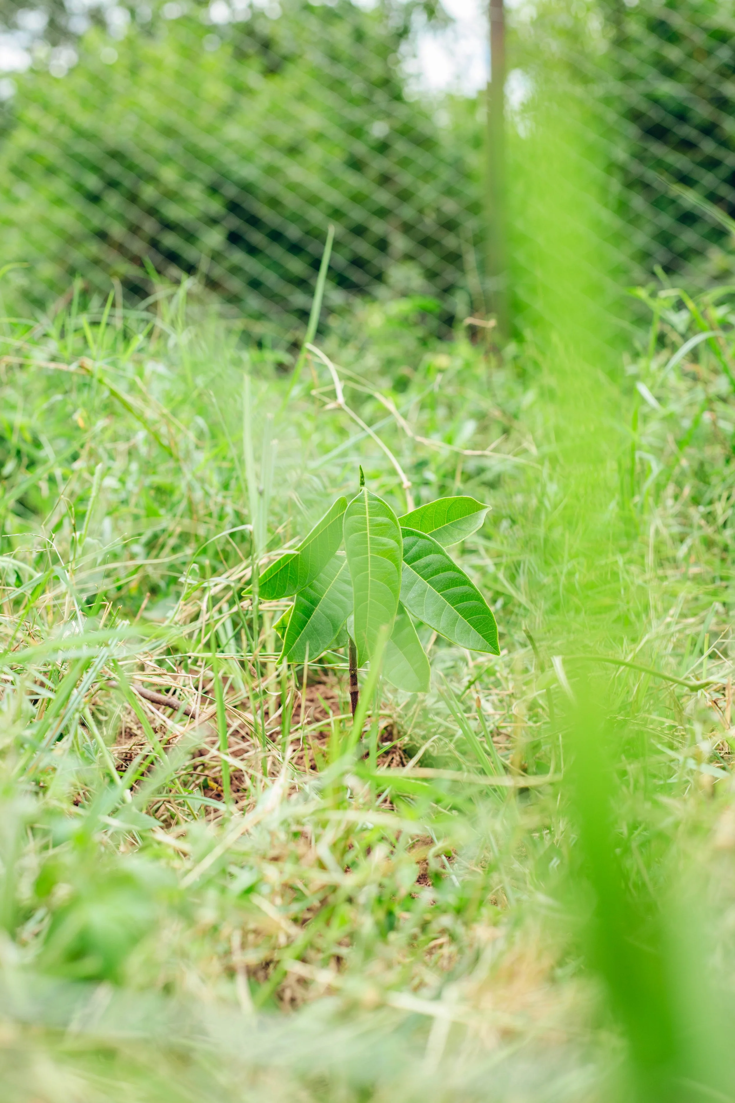 A Year of Building, Growing and Celebrating 2/3