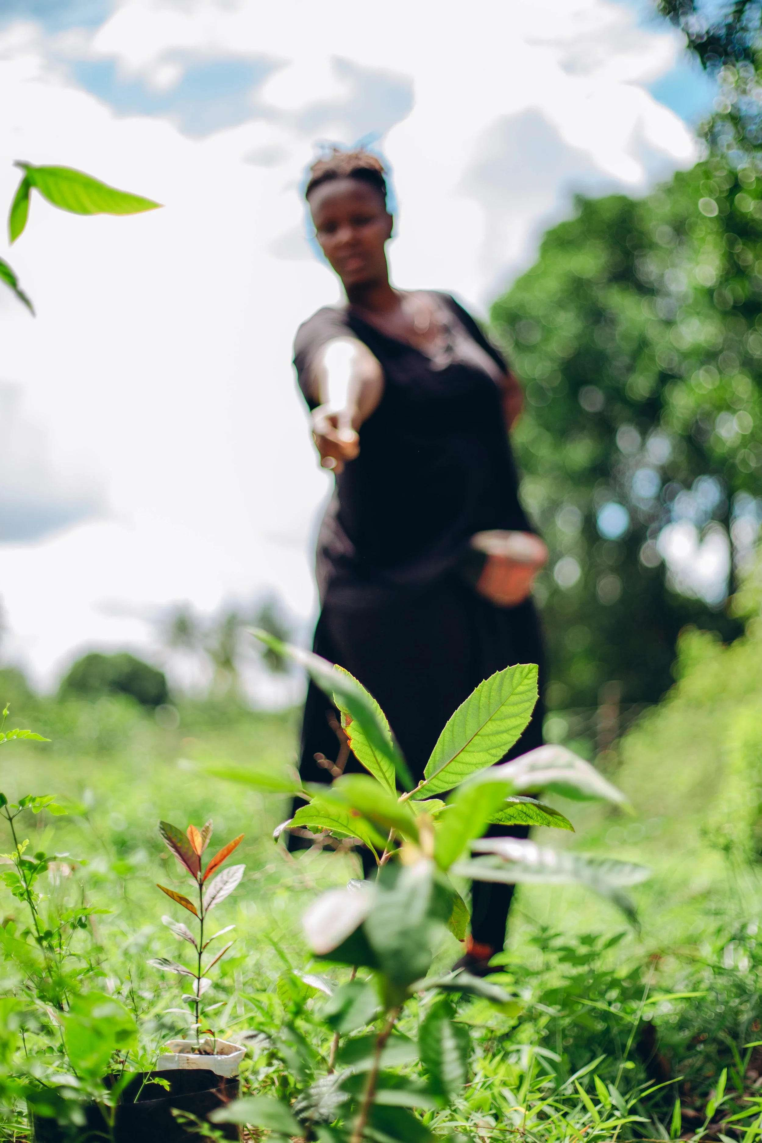 A New Chapter Begins 3/3