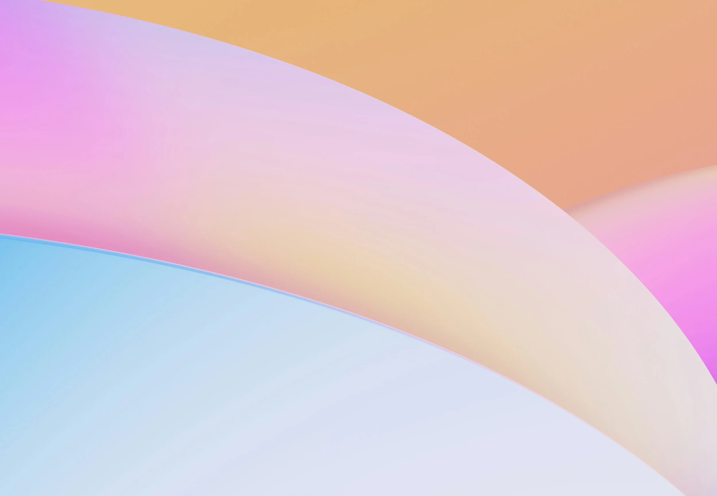 Appeal Letter or Donor Email