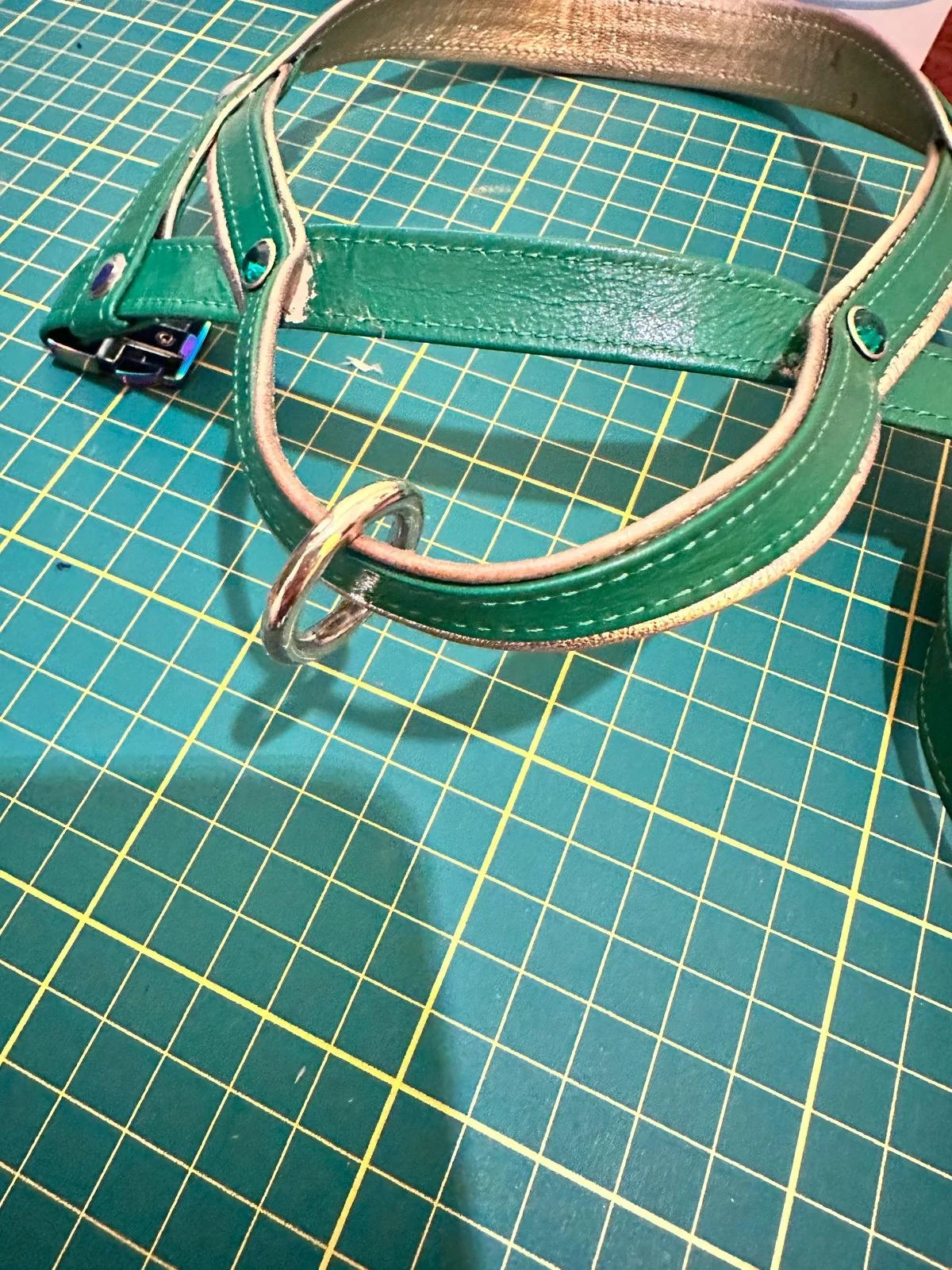Collare verde di cuoio con fibbia e anello di metallo posato su un tavolo con superficie a griglia.