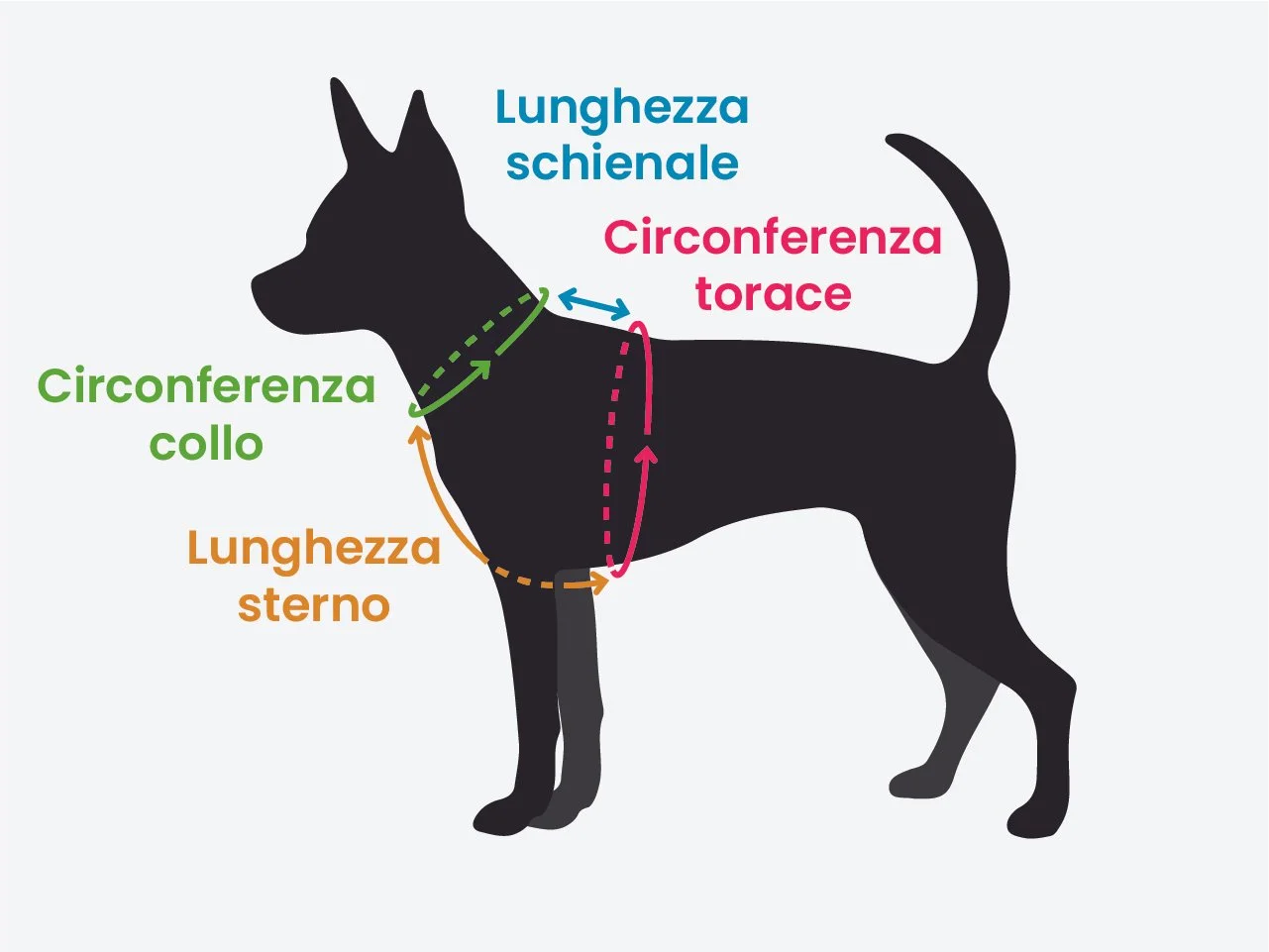 sagoma misure pettorina H