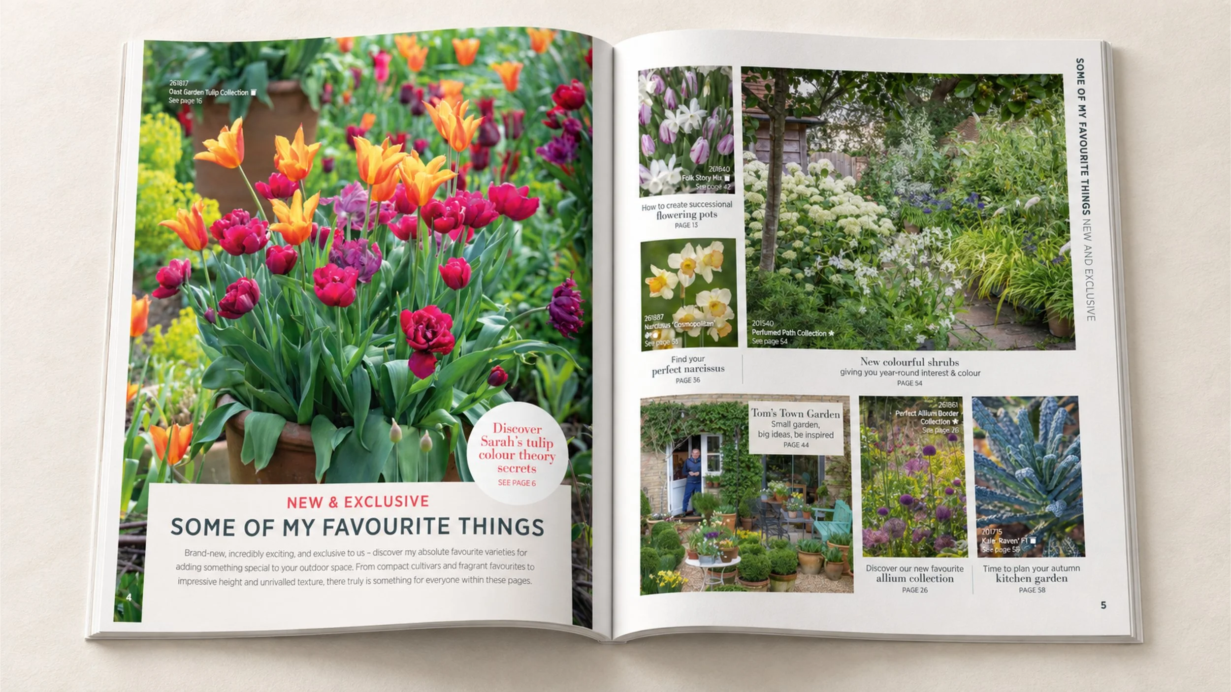 Editorial layout for the autumn catalogue, bringing together new varieties, garden inspiration and seasonal highlights. Photography © Jonathan Buckley