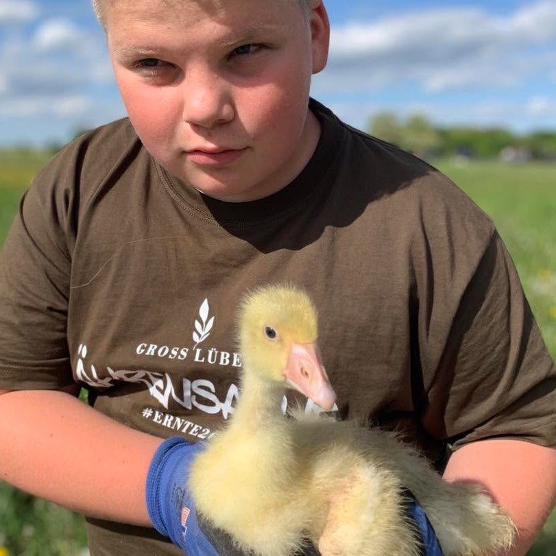 Die ersten G&ouml;ssel sind da! 🐣🌱
Flauschig, neugierig und voller Leben &ndash; unsere kleinen G&auml;nse erkunden die gr&uuml;nen Wiesen rund um den Hofladen.
Mit dabei: unsere kleinen Helfer mit gro&szlig;em Herzen. 💚

Bis Weihnachten werden au
