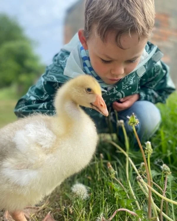 Jannes und Gans.jpg