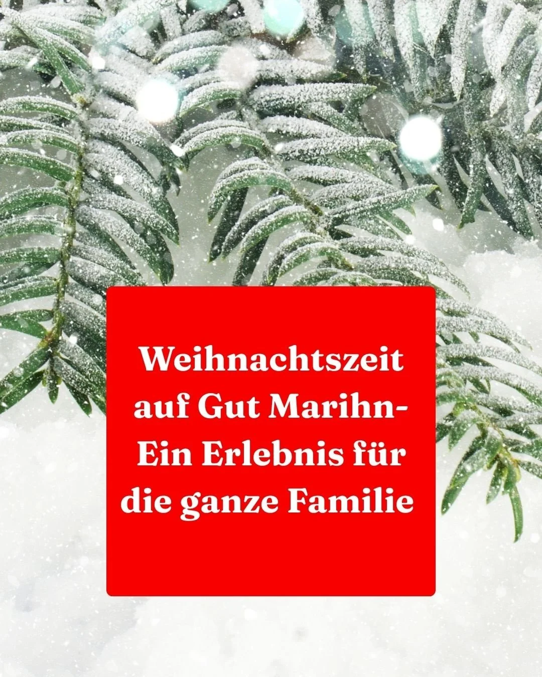 Ab dem 1. Adventswochenende laden wir Euch ein: Wir starten in die wohl famili&auml;rste und gem&uuml;tlichste Zeit des Jahres.

🌲 Dein Baum wartet direkt am Hofladen oder ab 6.12. einfach eine Tanne selber schlagen im nat&uuml;rlichen Wald! 🍖 Fris