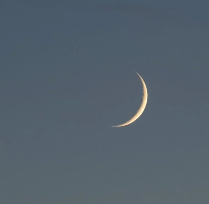 <span class="sqsrte-text-color--lightAccent">New Moon</span>