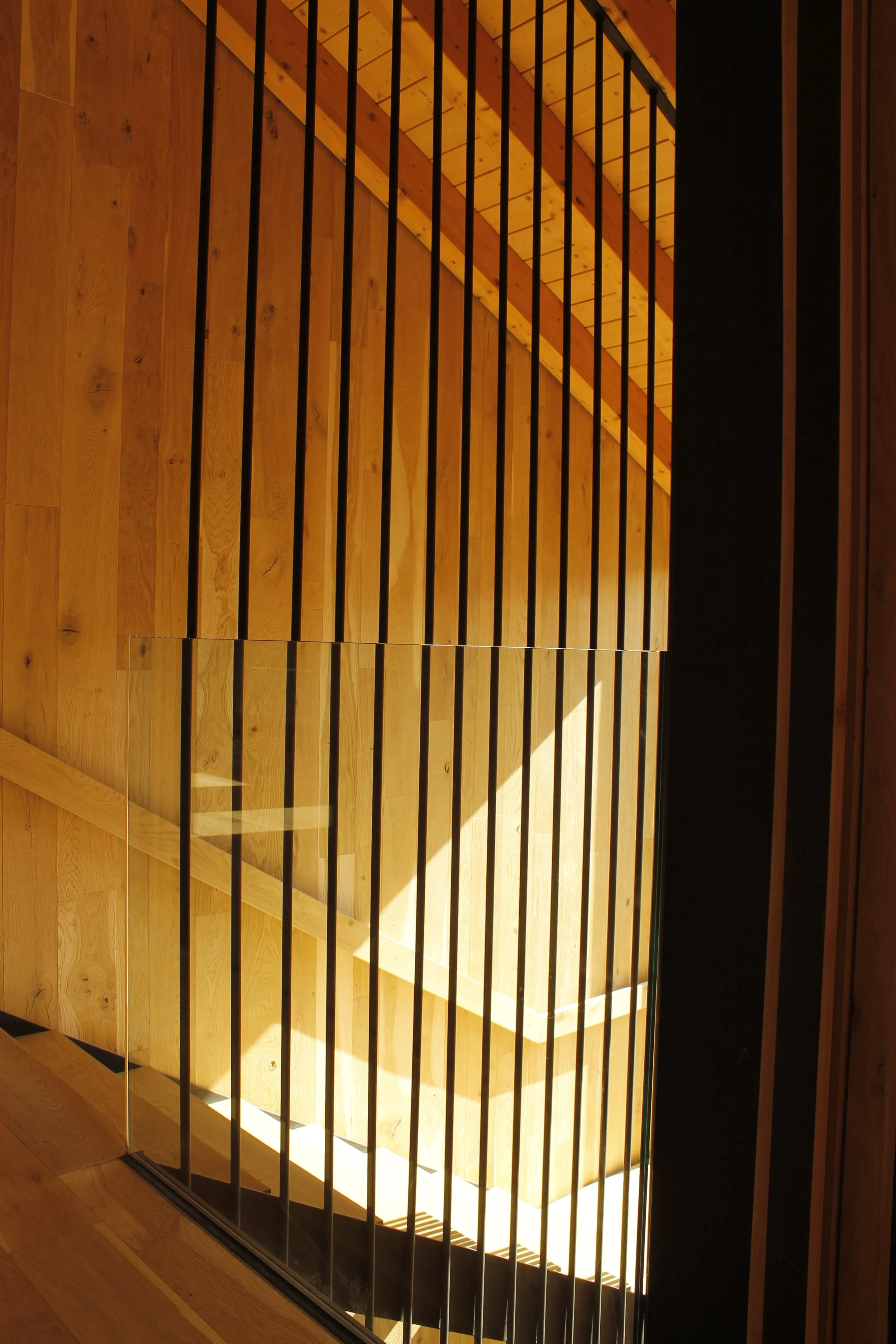 _MG_0033.JPG