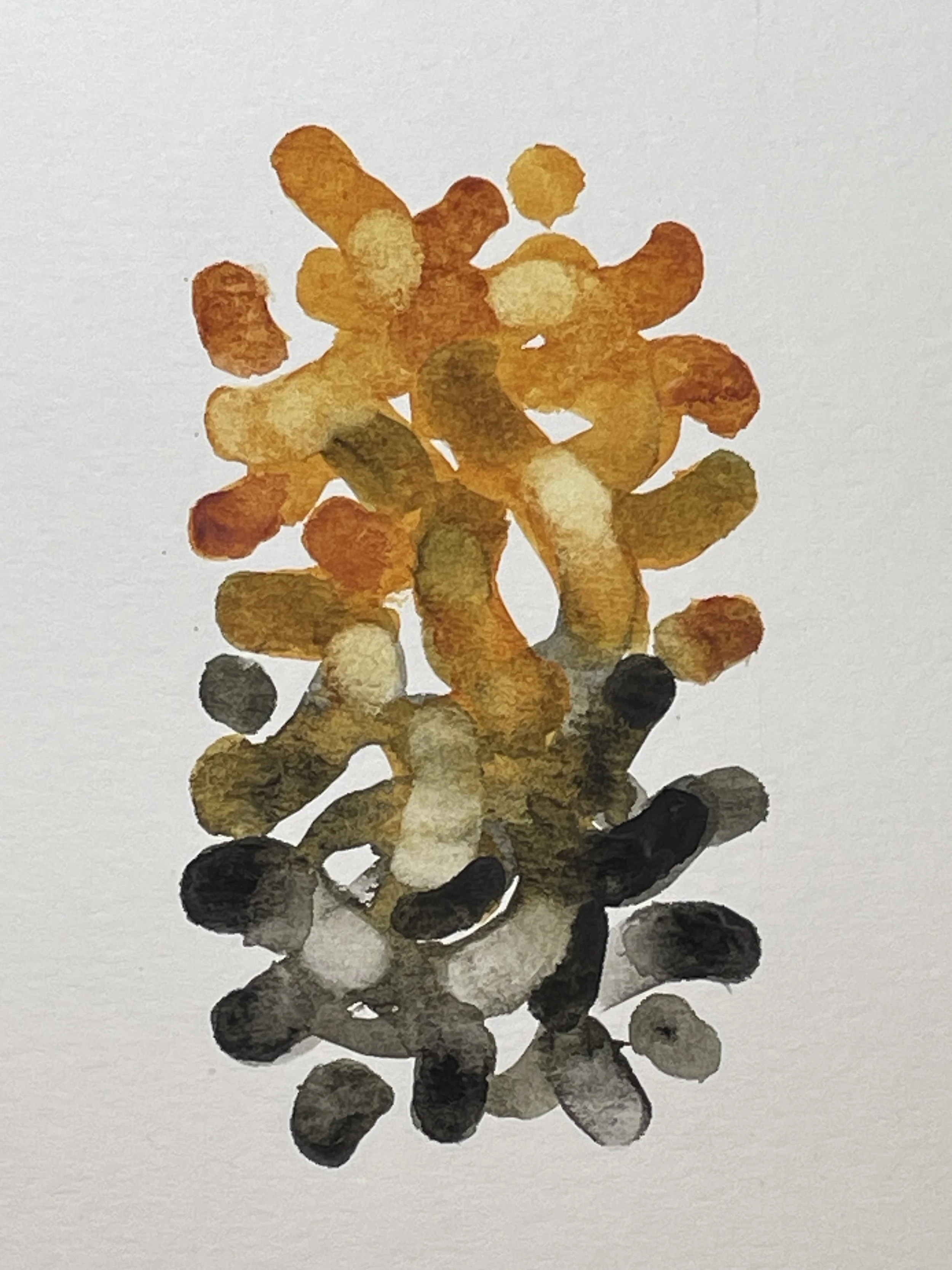 Woolly Bear - Archetypes Series