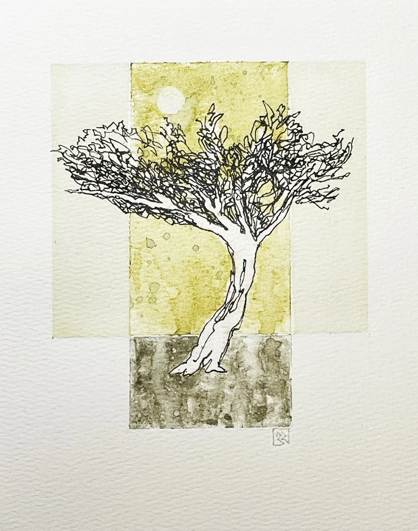 Shepherds Tree