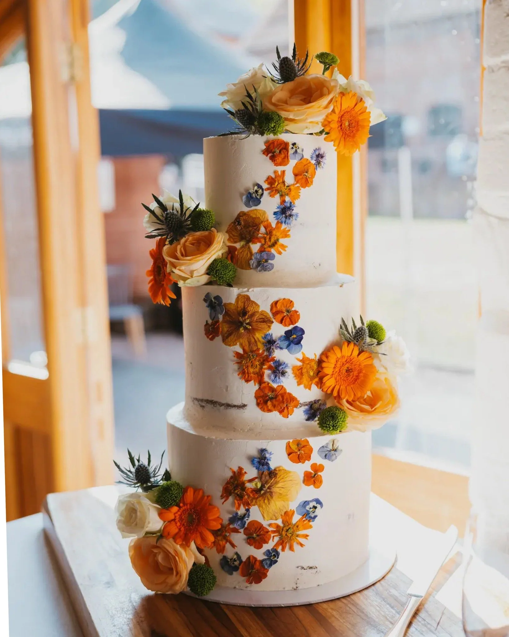 What color comes to mind when you think of autumn? π
For me, it’s definitely orange – the color of leaves falling from the trees, warm and cozy, bringing that autumn feeling instantly. πβ¨
Comment below with your autumn color!
 autumn