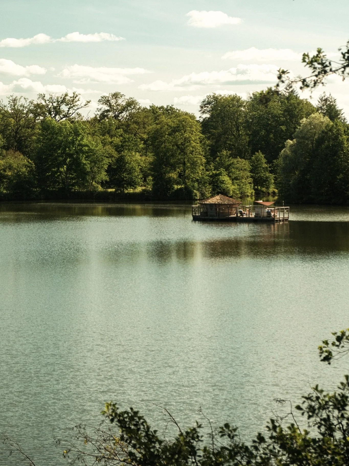 DSCF5417.jpg