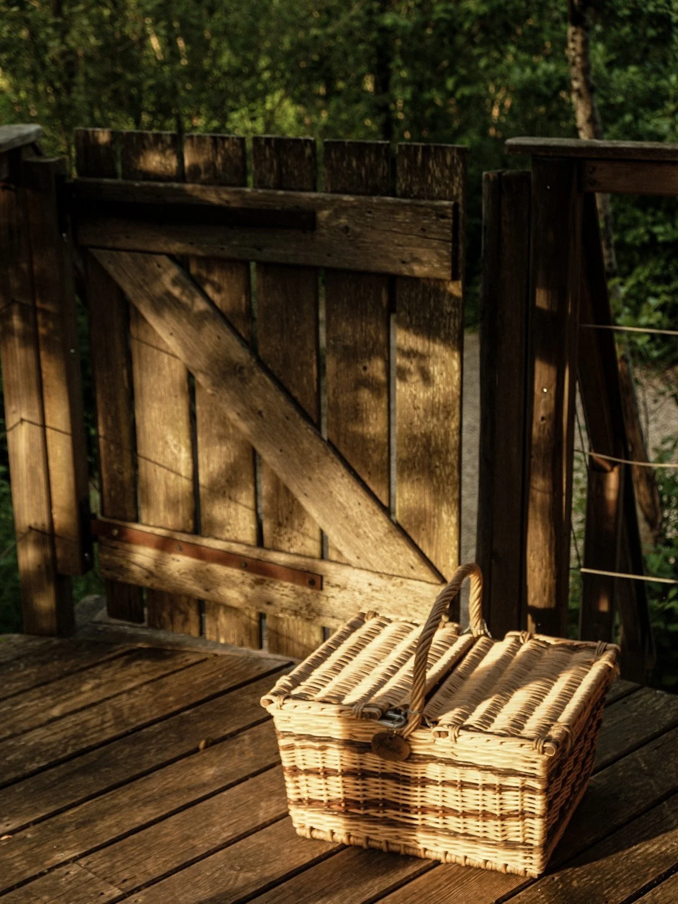 DSCF5566.jpg