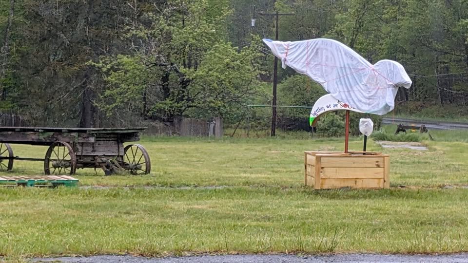 Leagcy Dove Reveal in Parksville, NY
