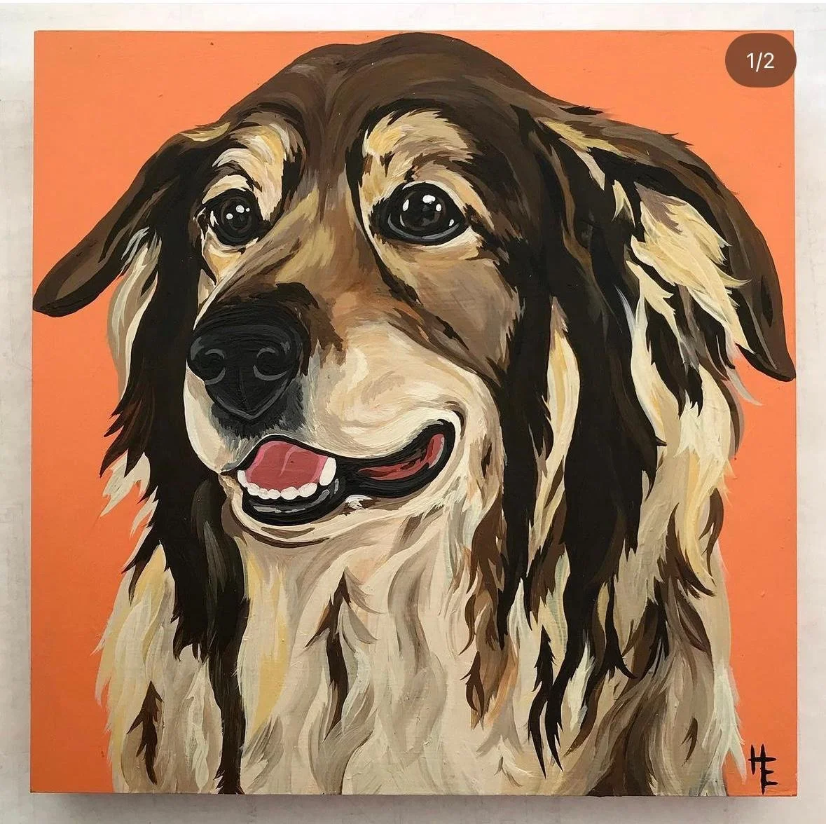 PHOTO-2024-11-26-08-24-11 (3).jpg