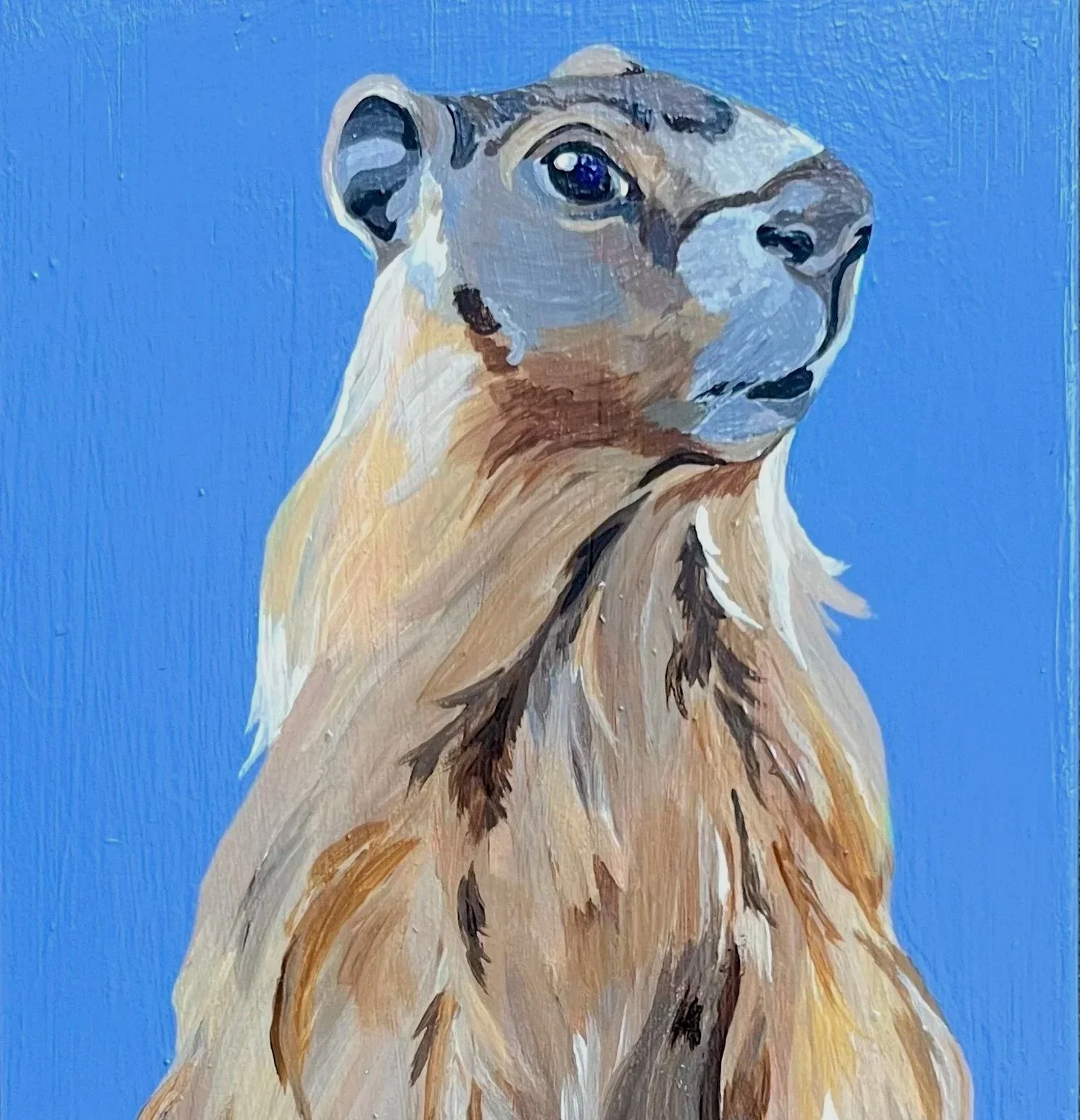 Jonas