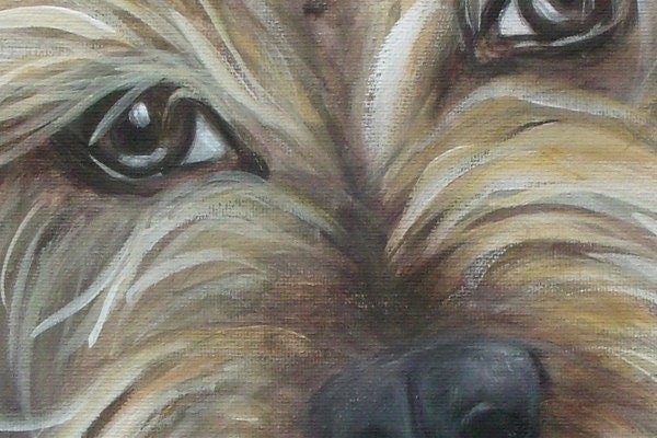 https://i.etsystatic.com/5353216/r/il/0e4b9c/450243048/il_fullxfull.450243048_s5fb.jpg