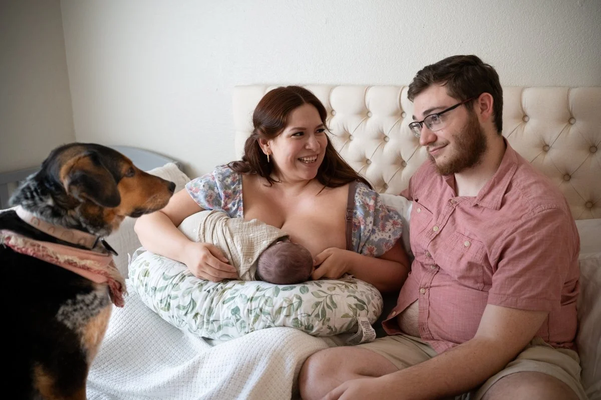 Tucson newborn photographer: baby boy and his two furry siblings