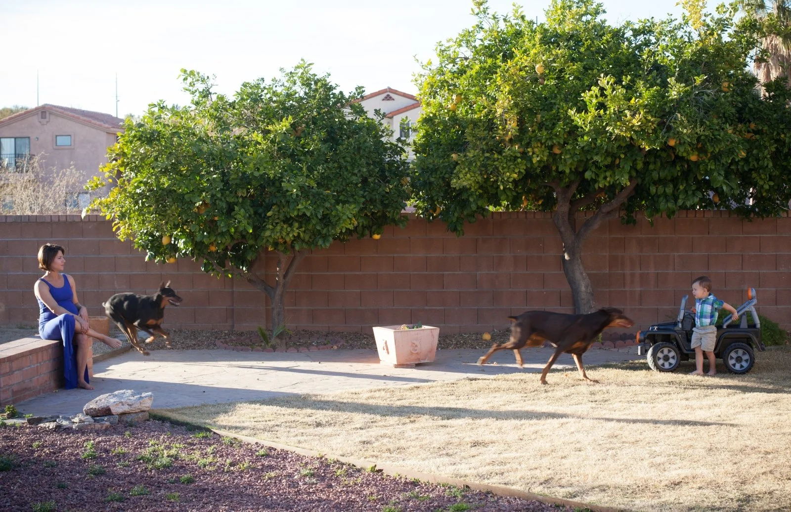 mom sits in a backyard watching her son play with the dog during a family maternity session in North County San Diego.