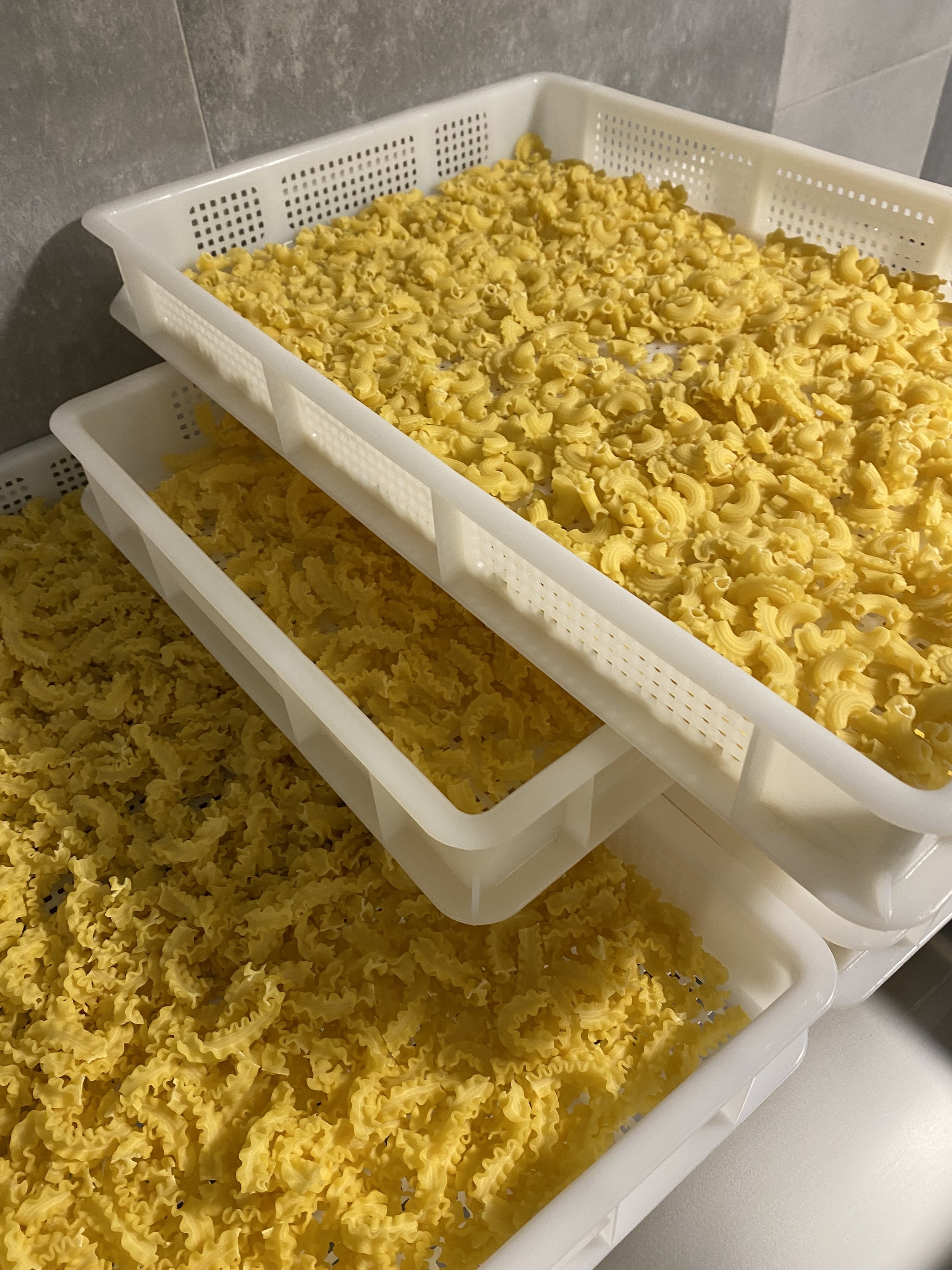 Différents types de pâtes alimentaires dans des paniers en plastique blancs.