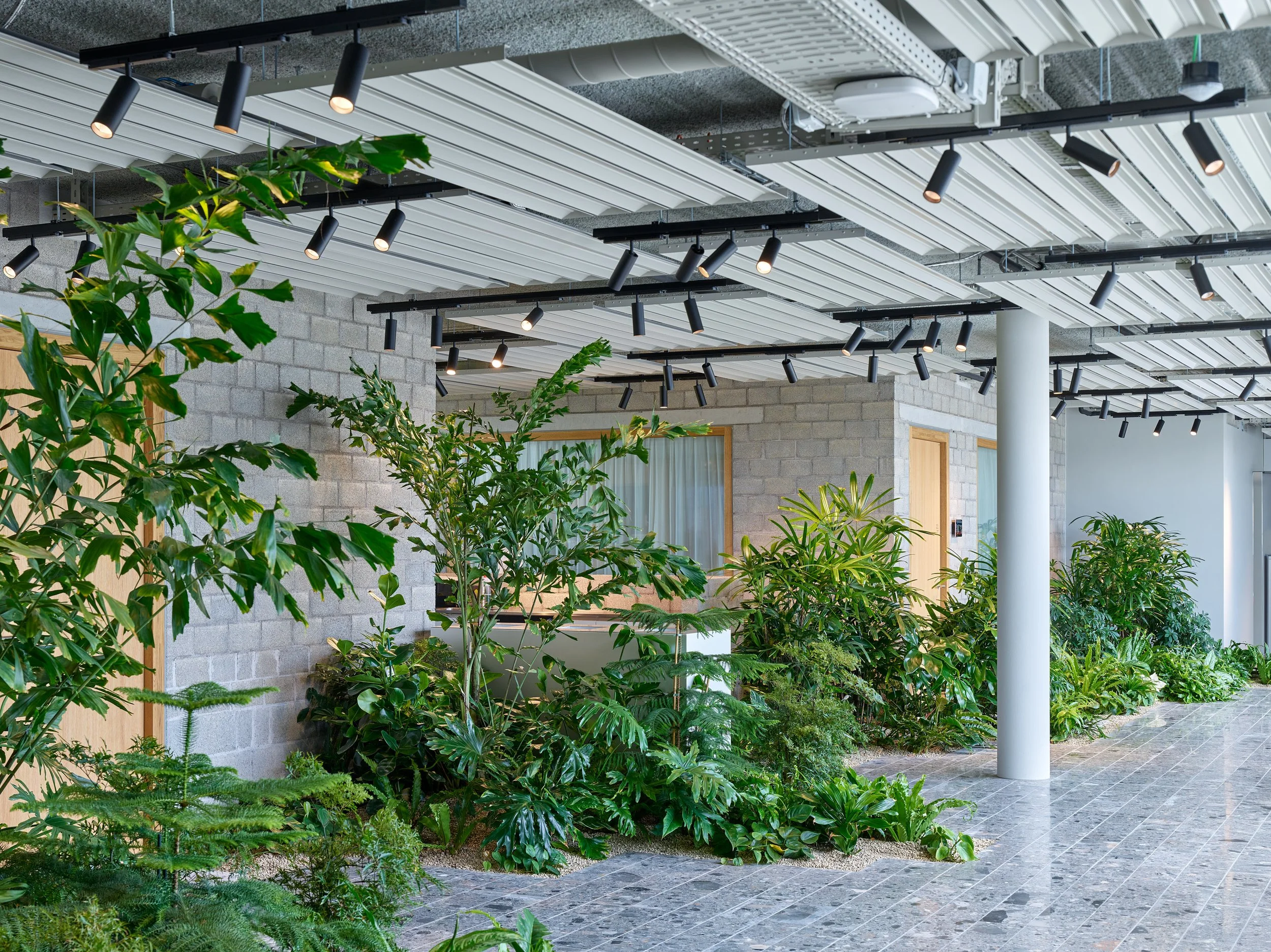 kustik_0003_001 (2).jpg