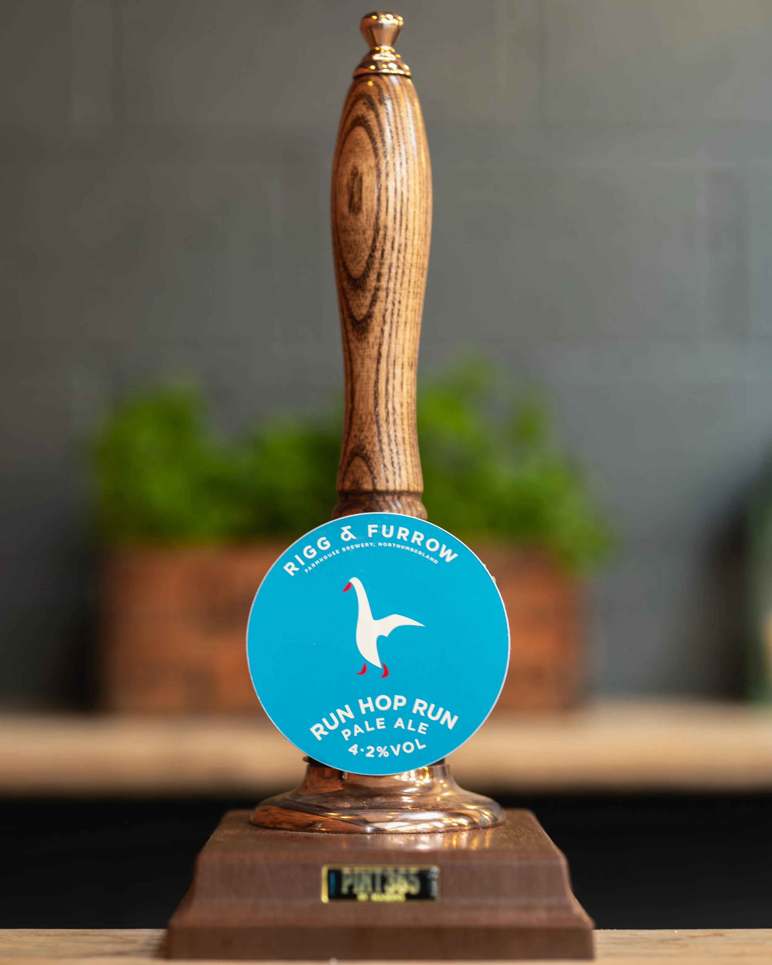 A wooden beer pump handle with a blue label, "Rigg & Furrow Run Hop Run Pale Ale 4.2% vol," featuring a white duck logo.