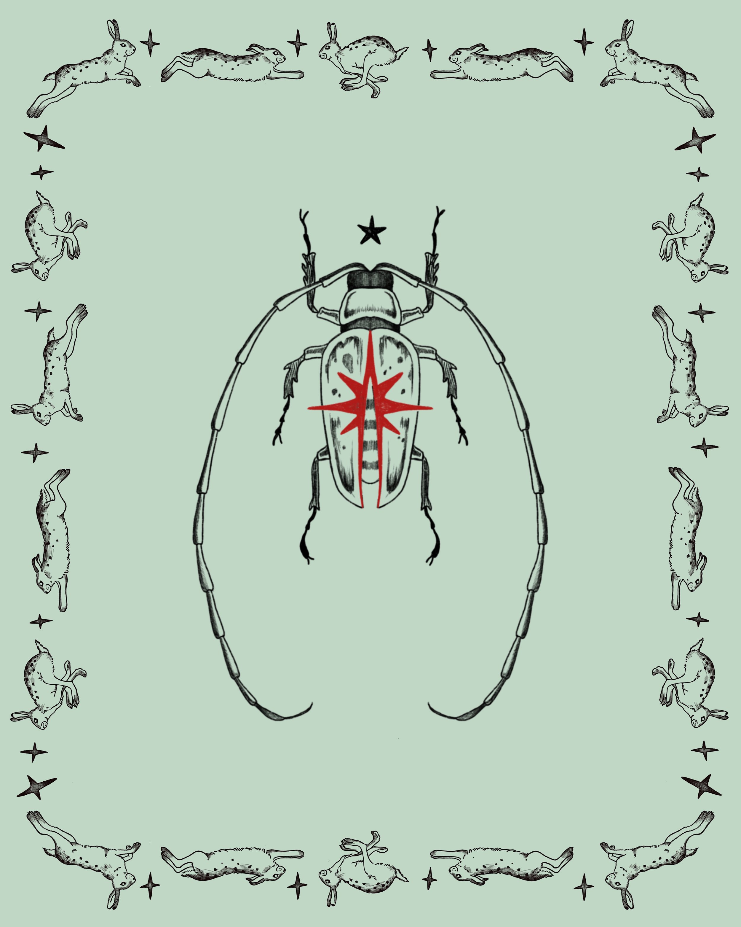 Scarlet Beetle