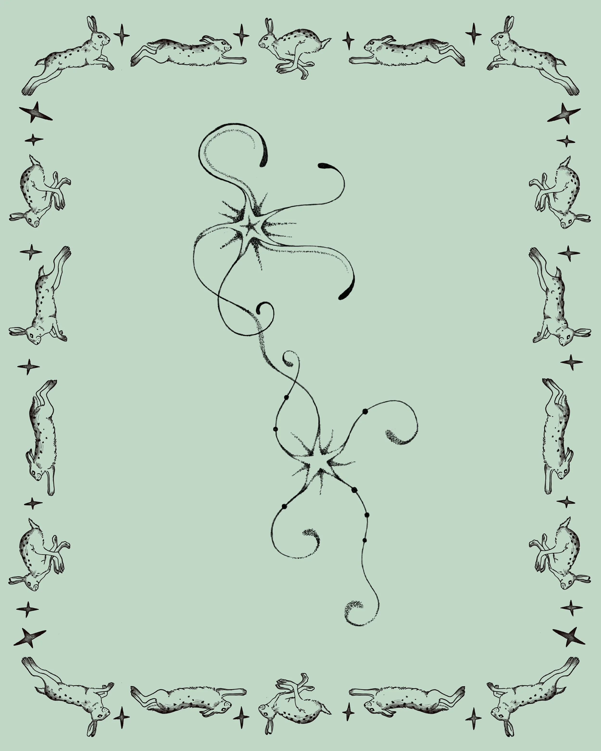 Constellation