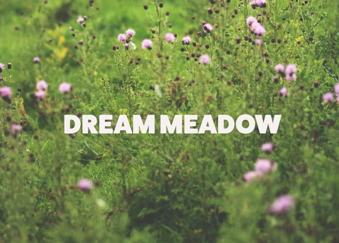 DreamMeadow.jpg