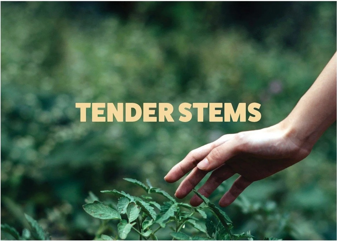 TBTC_TenderStems_Cover.jpg