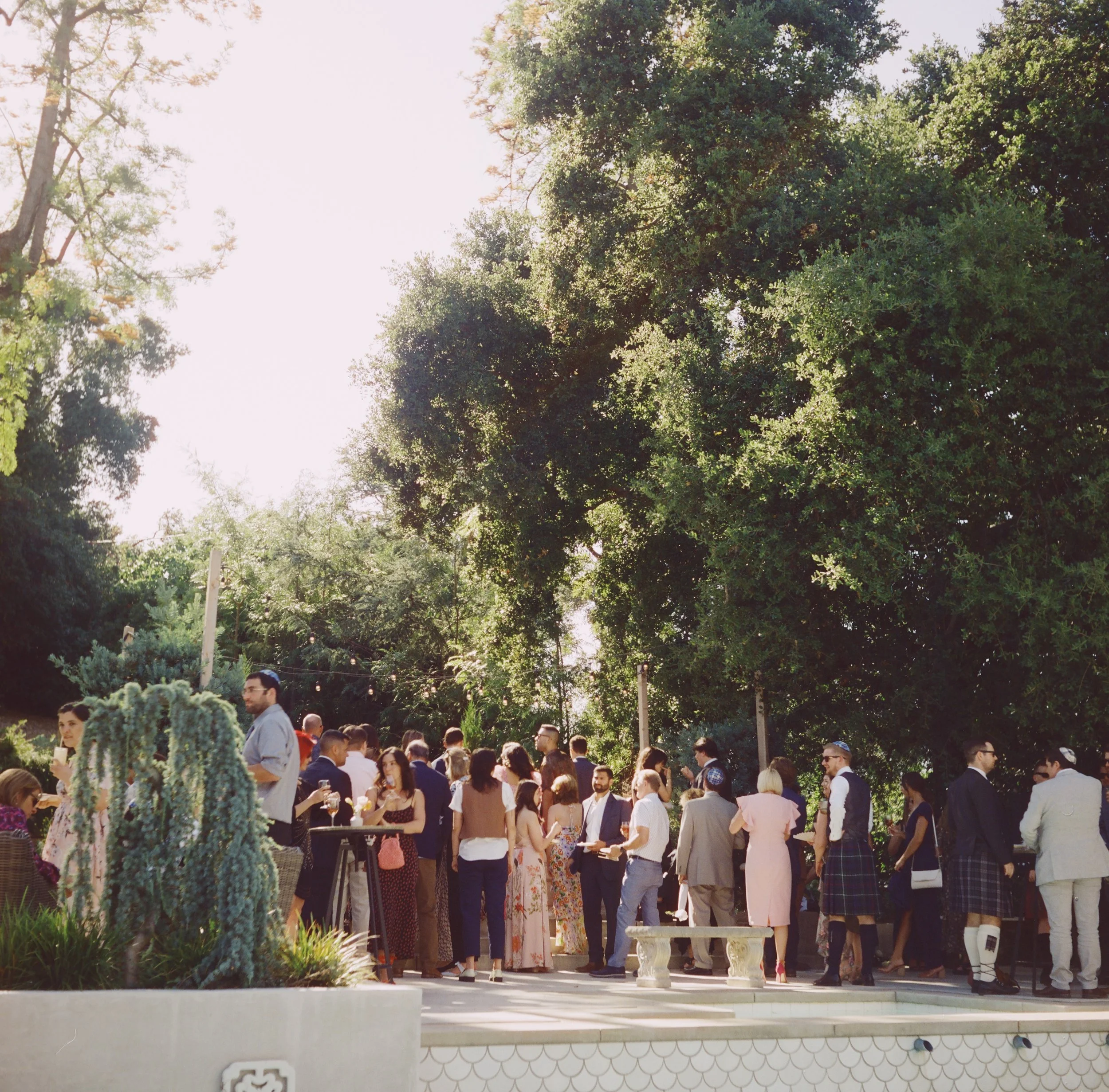 People gathering outdoors at a garden party or wedding reception, with large trees and lush greenery in the background.