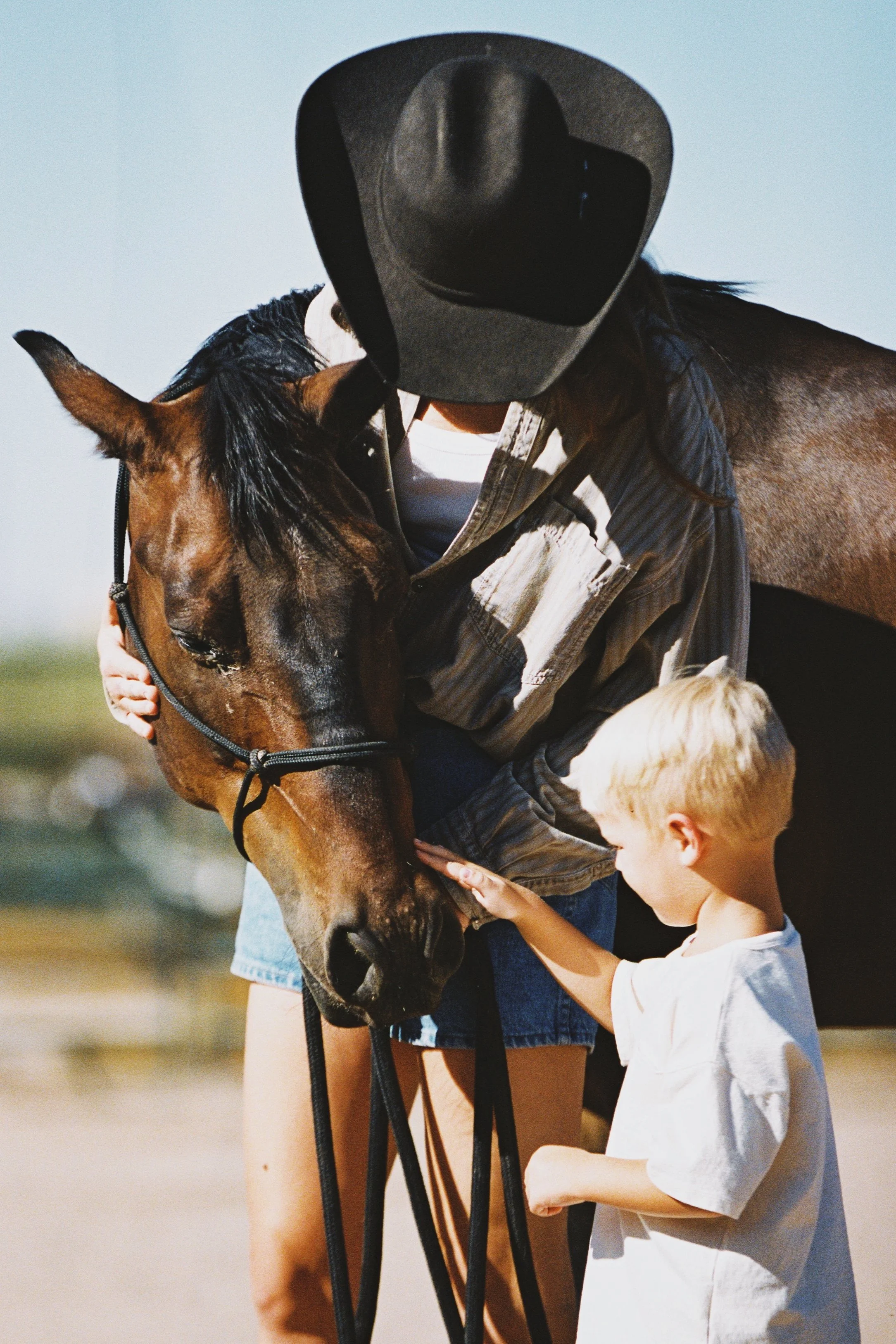 A person with a black hat and striped shirt hugging a brown horse, while a young blonde boy in a white shirt touches the horse's face outdoors on a sunny day.